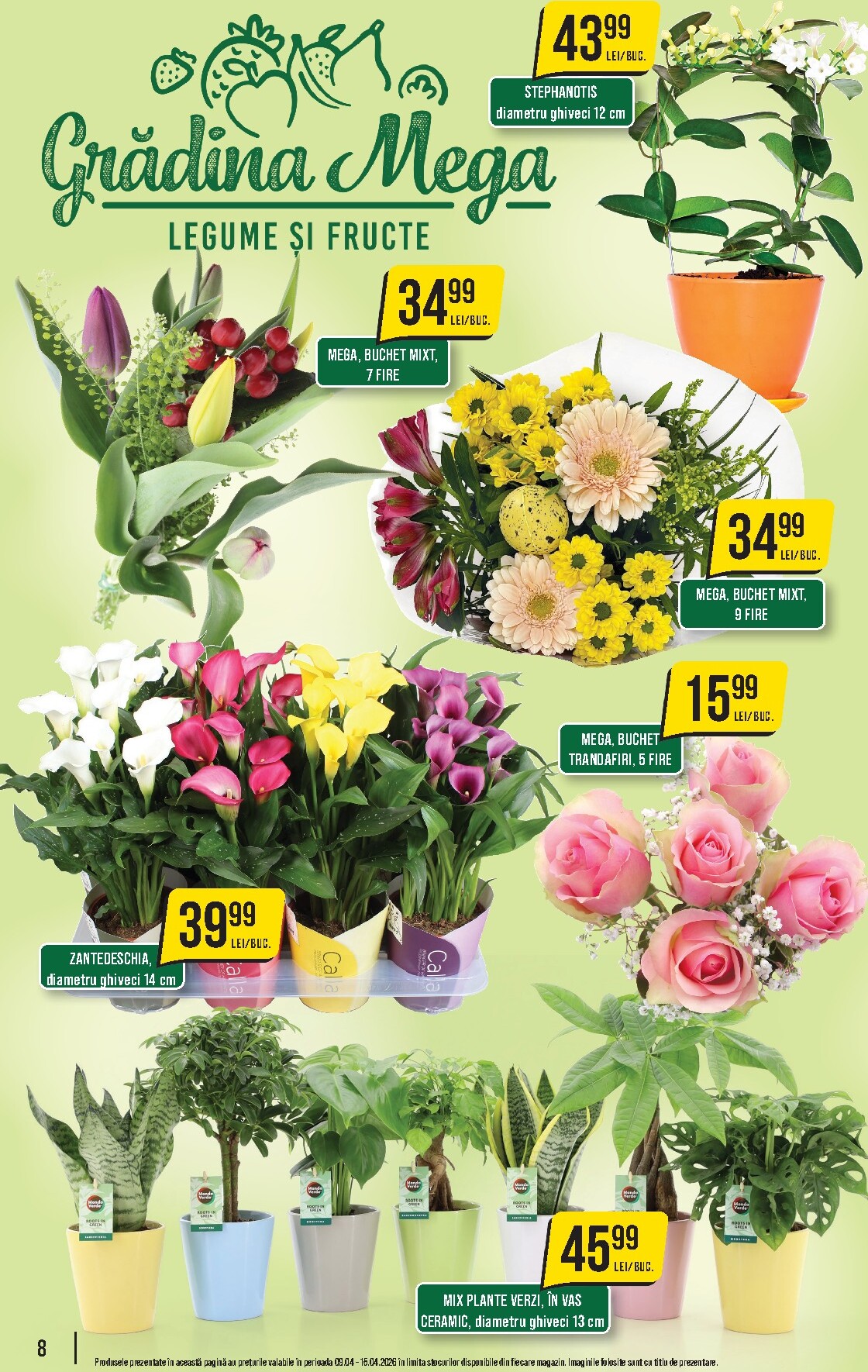 mega-image - Pliantele viitoare Mega Image valabil de la joi 09.04.2026 până la miercuri 15.04.2026 - page: 8