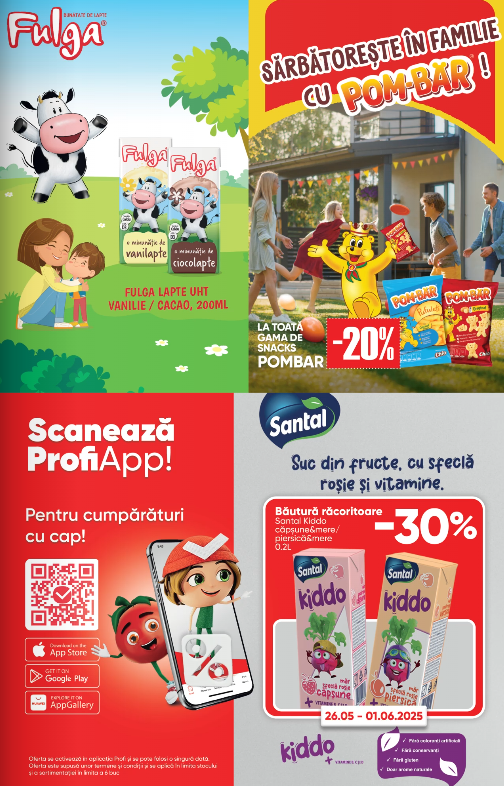 profi - Catalog PROFI Super valabil din 28.05. - 10.06. - page: 13