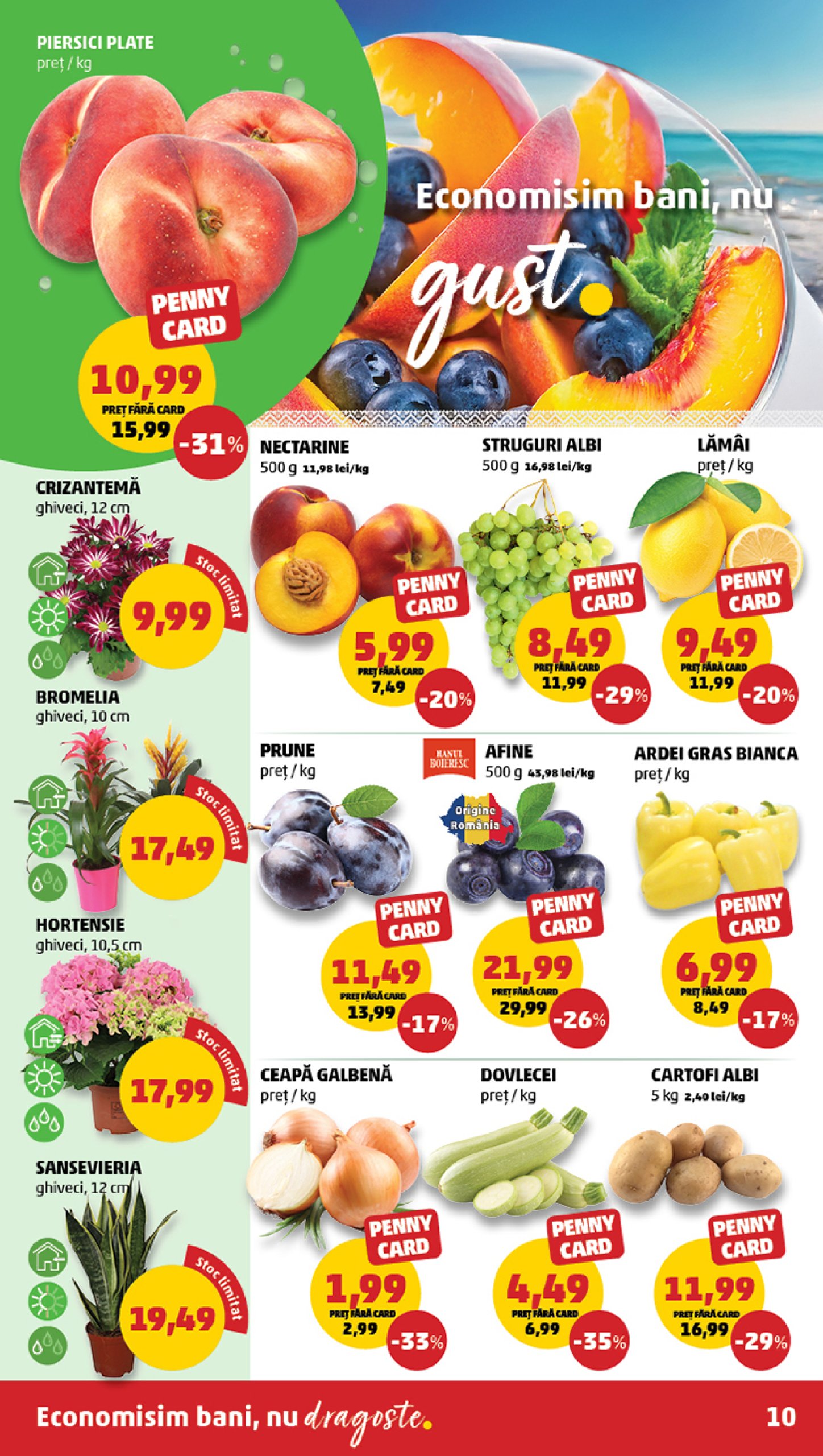 penny - Catalog PENNY valabil din 09.07. până pe 15.07. - page: 10