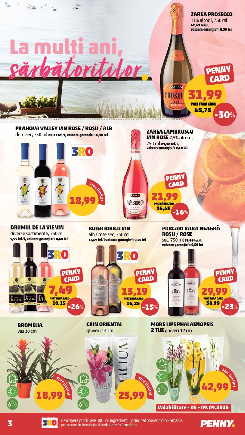 penny - Catalog PENNY online – oferte valabile din 03.09. - page: 3