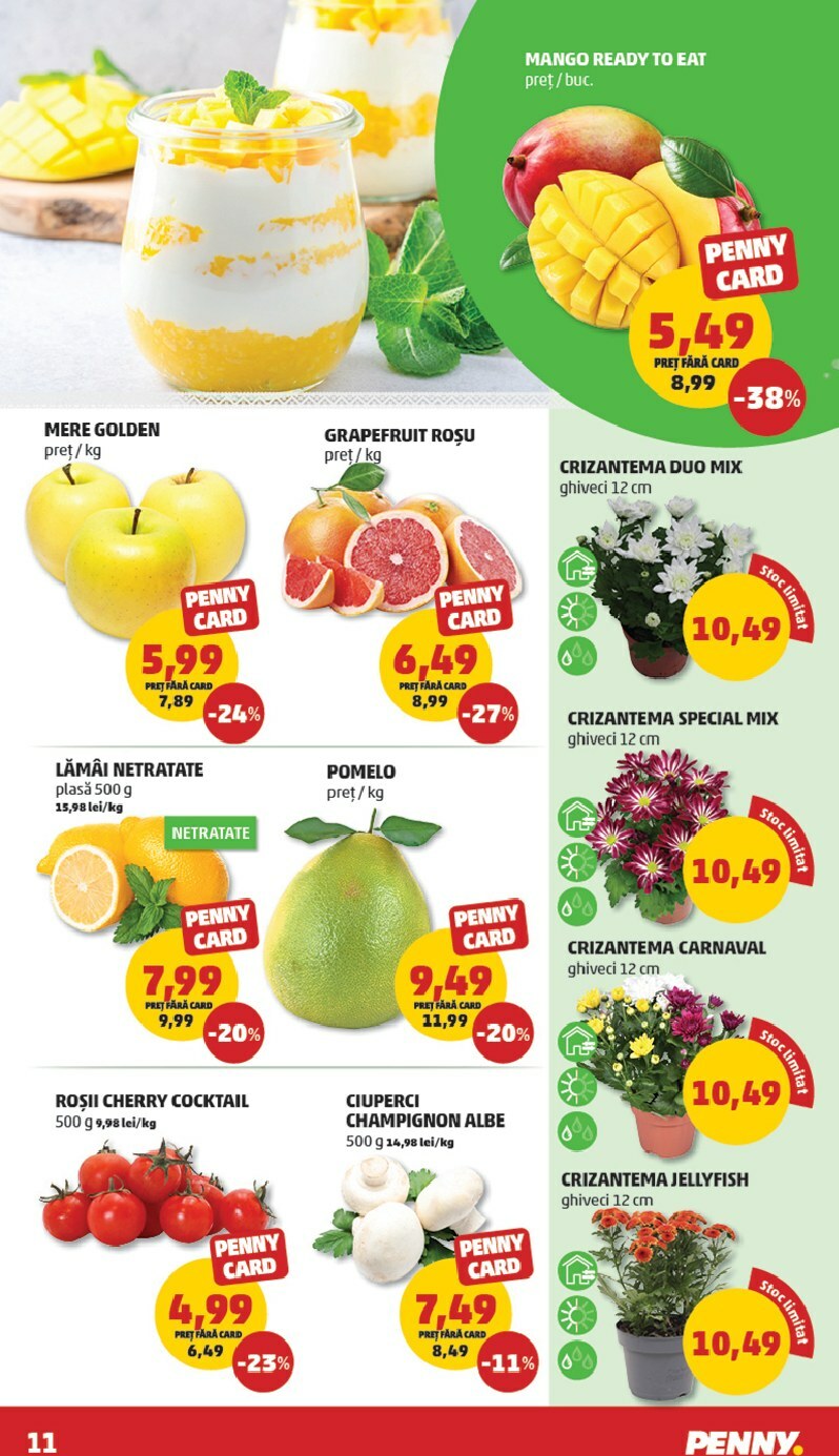 penny - Catalog PENNY online – oferte valabile din 17.09. - page: 11