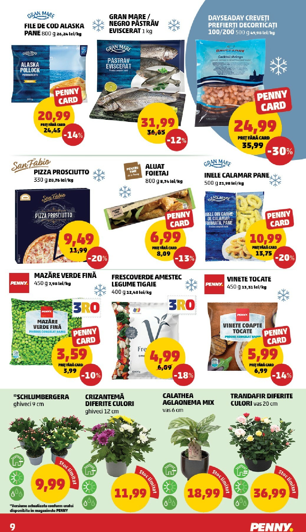 penny - Catalog PENNY online – oferte valabile din 12.11. - page: 9