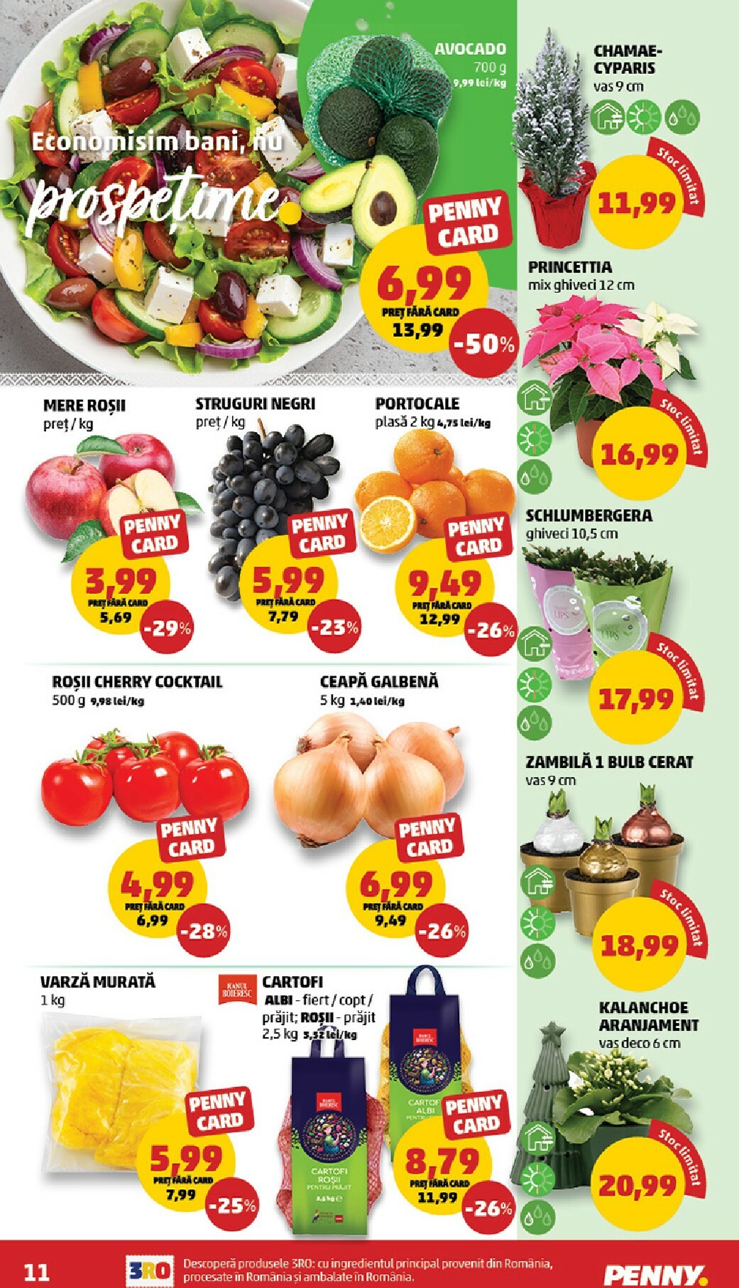 penny - Catalog PENNY online – oferte valabile din 17.12. - page: 11