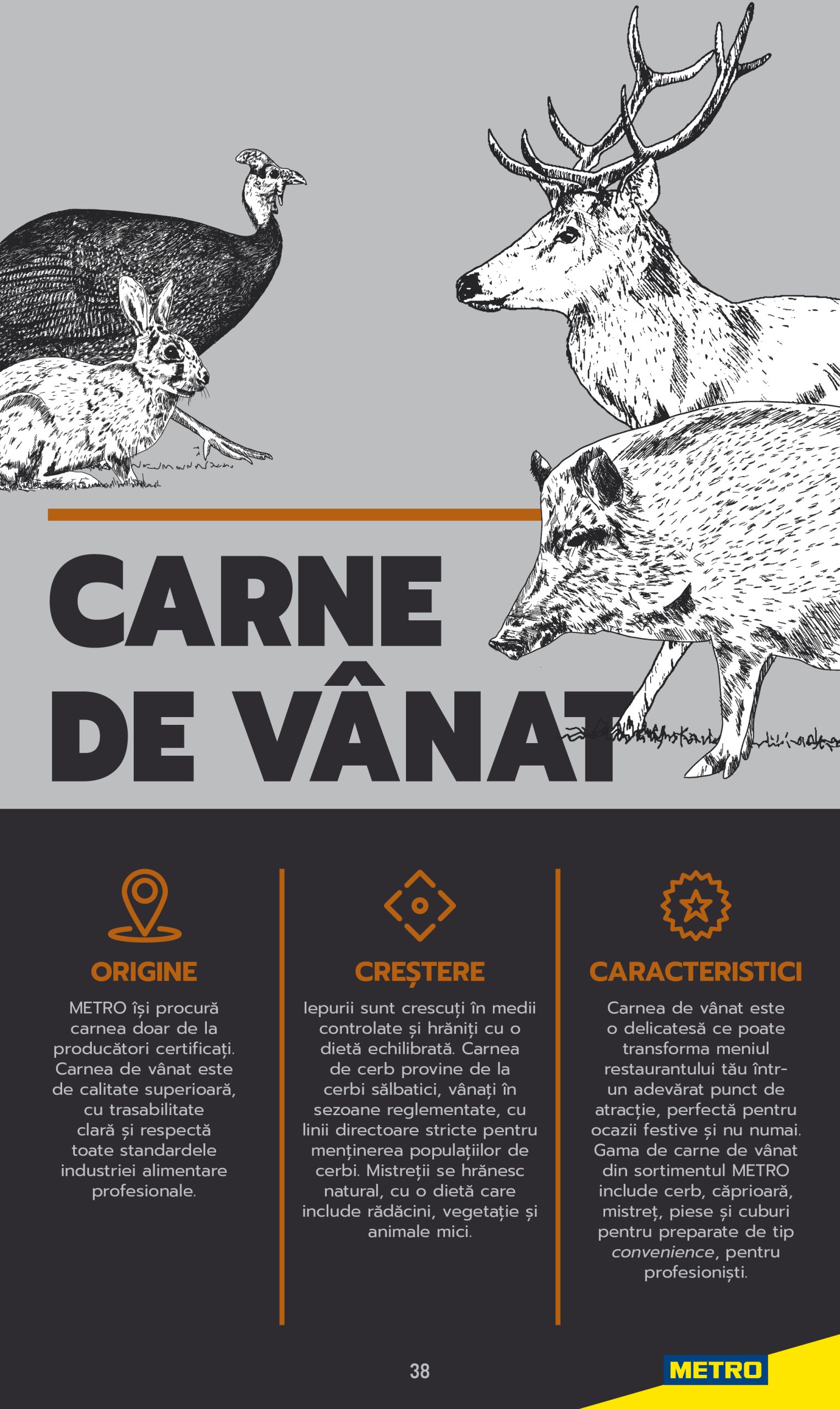 metro - Catalog Metro - Carne pentru Profesioniști valabil din 03.06. până pe 31.12. - page: 38 metro - Catalog Metro - Carne pentru Profesioniști valabil din 03.06. până pe 31.12. - page: 38