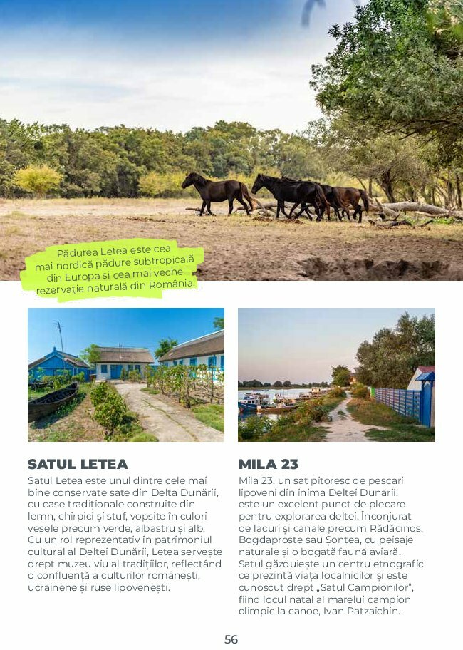 metro - Catalog Metro - Ghid de Turism România valabil din 04.08. până pe 31.05. - page: 56 metro - Catalog Metro - Ghid de Turism România valabil din 04.08. până pe 31.05. - page: 56