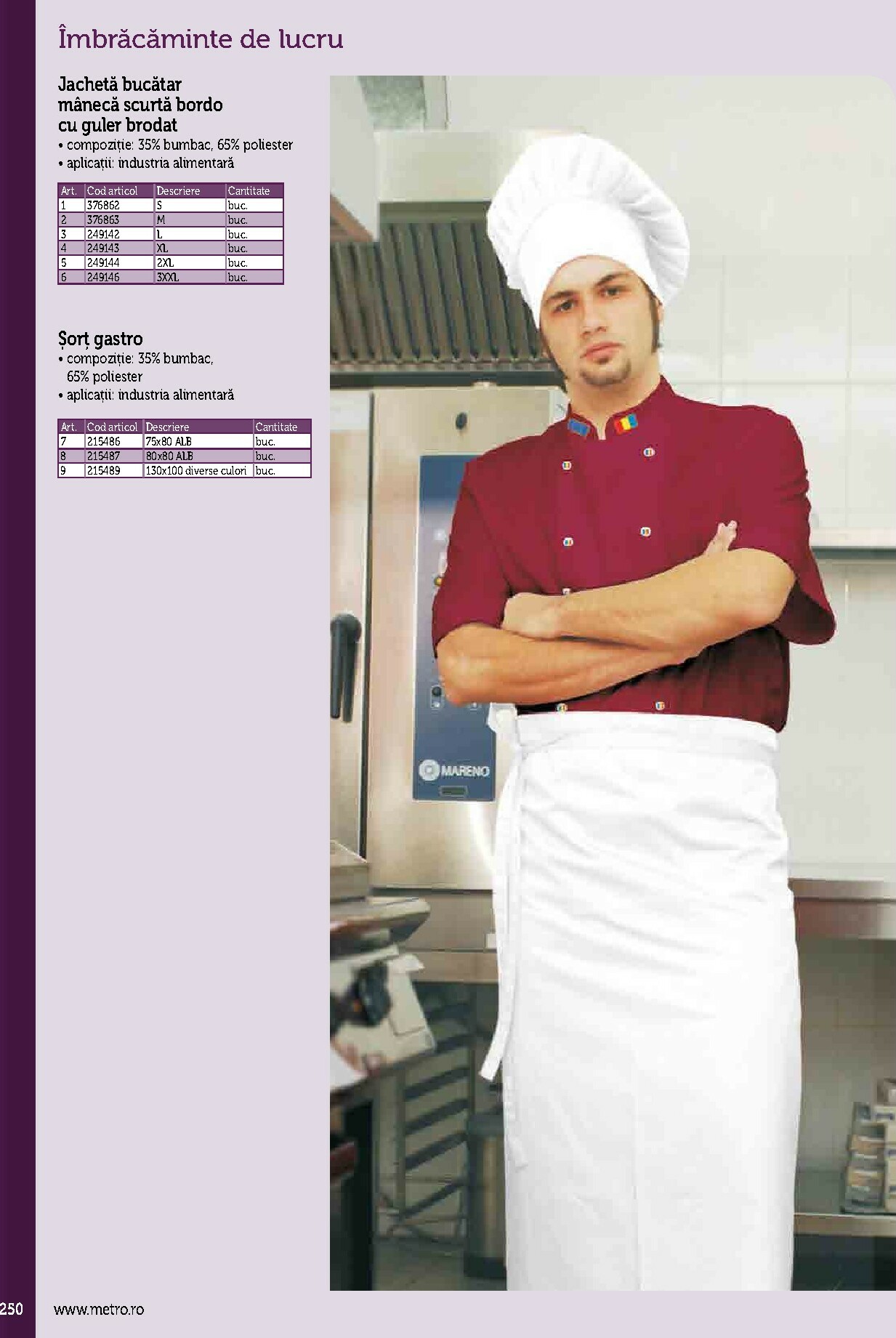 metro - Catalog Metro - Echipamente Profesionale pentru HoReCa online – oferte valabile din 17.09. - page: 250