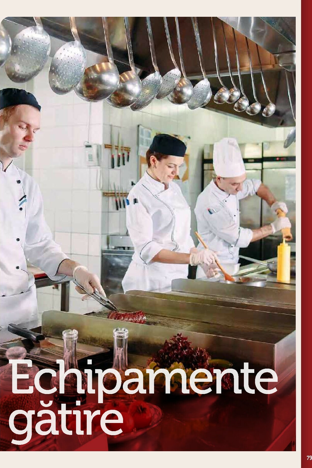 metro - Catalog Metro - Echipamente Profesionale pentru HoReCa online – oferte valabile din 17.09. - page: 79