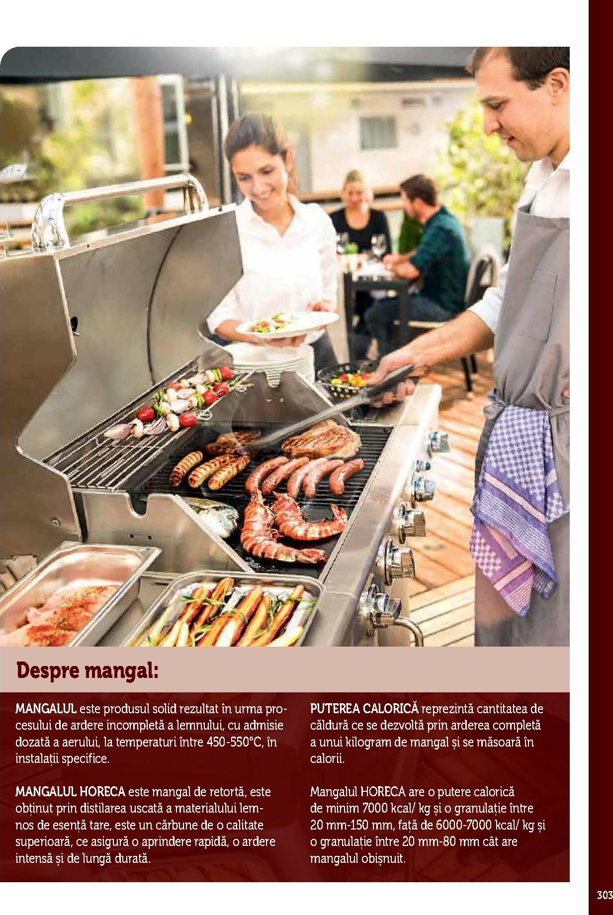 metro - Catalog Metro - Echipamente Profesionale pentru HoReCa online – oferte valabile din 17.09. - page: 303