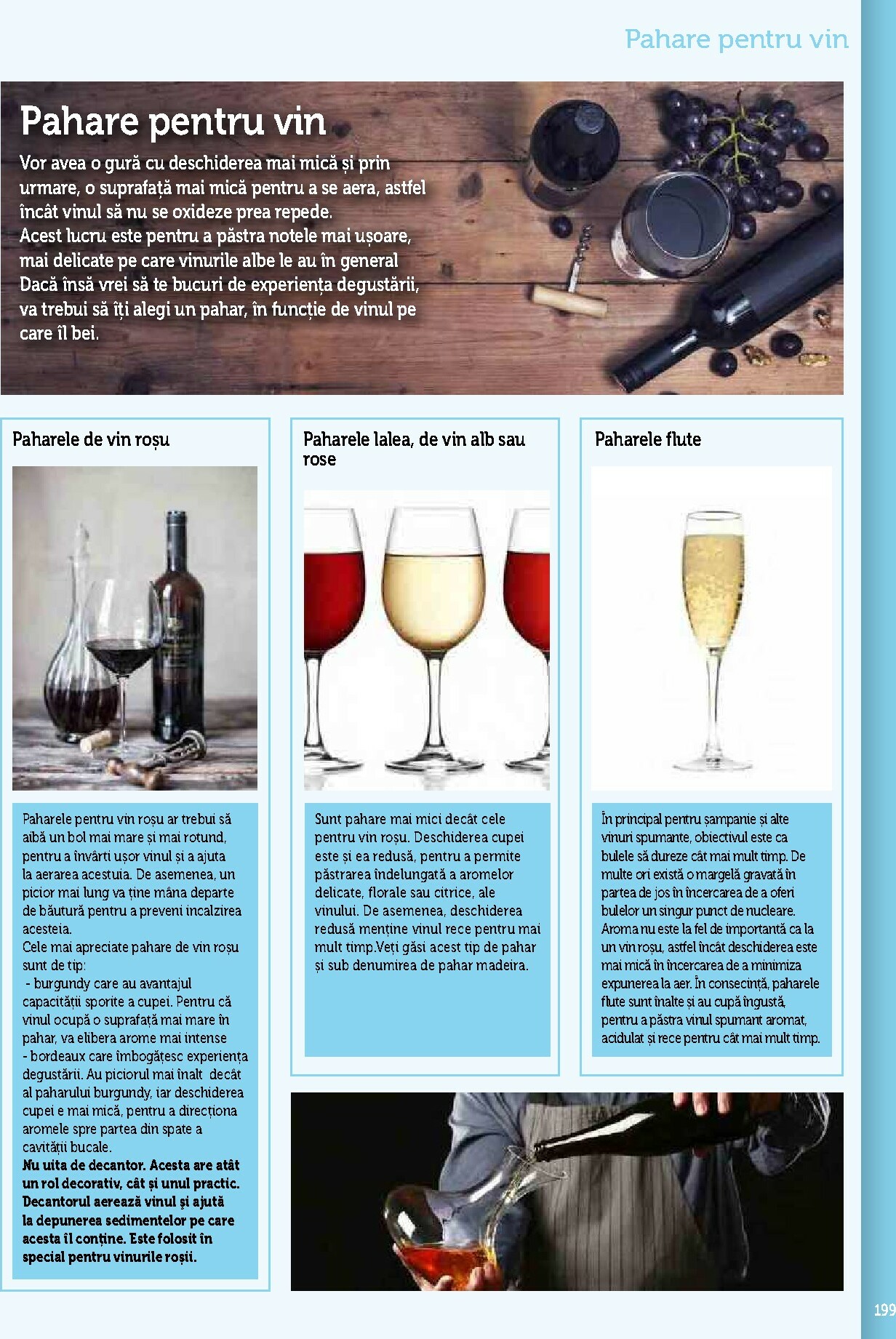 metro - Catalog Metro - Echipamente Profesionale pentru HoReCa online – oferte valabile din 17.09. - page: 199
