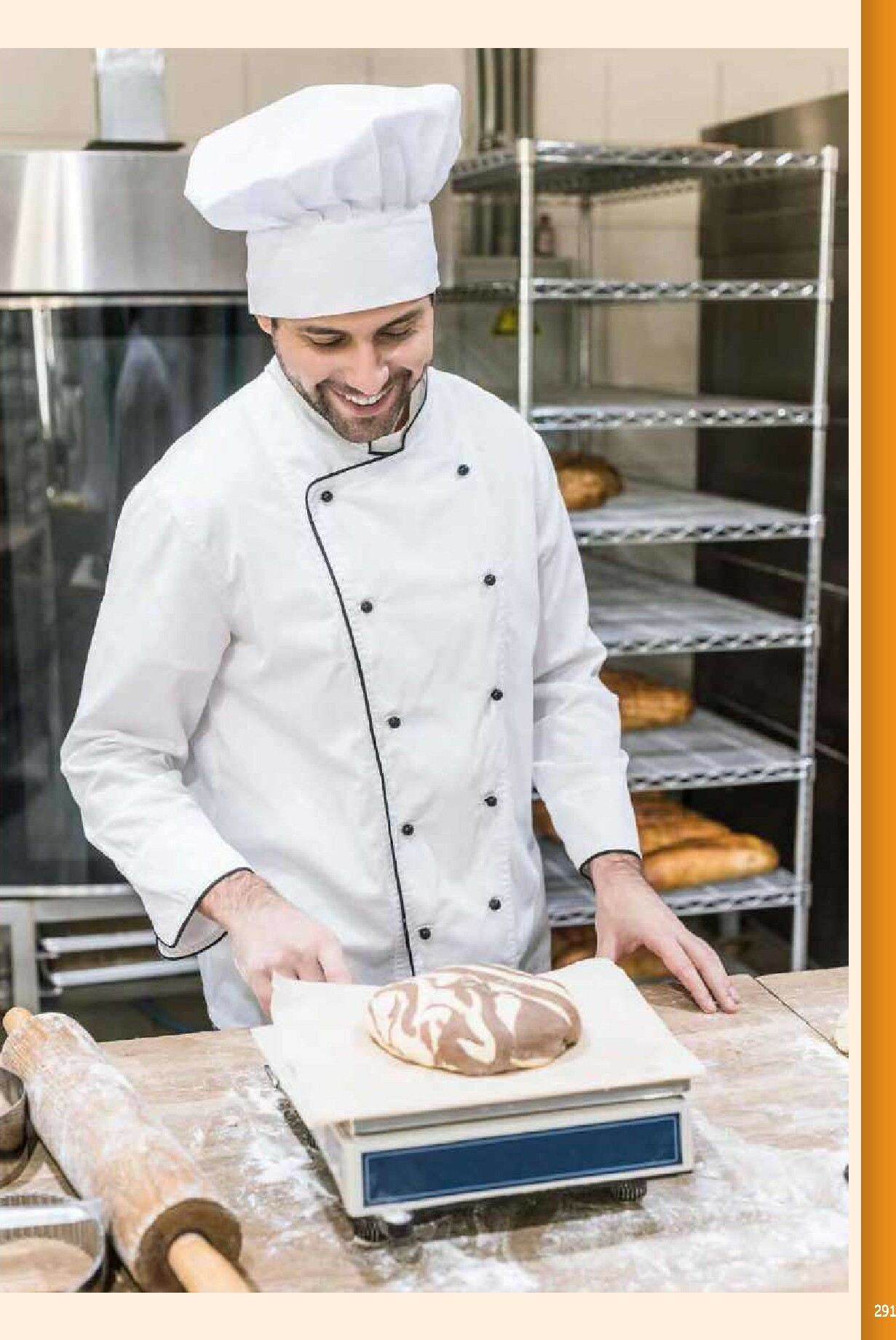metro - Catalog Metro - Echipamente Profesionale pentru HoReCa online – oferte valabile din 17.09. - page: 291