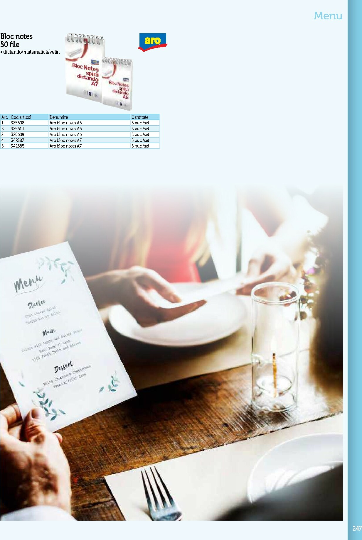 metro - Catalog Metro - Echipamente Profesionale pentru HoReCa online – oferte valabile din 17.09. - page: 247