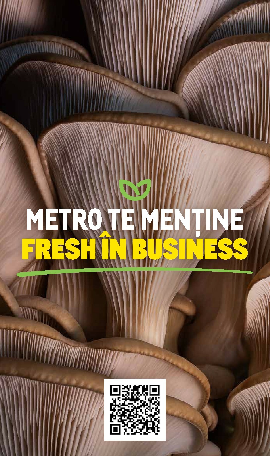 metro - Catalog Metro - Catalog Varietăți de Ciuperci online – oferte valabile din 10.11. - page: 16