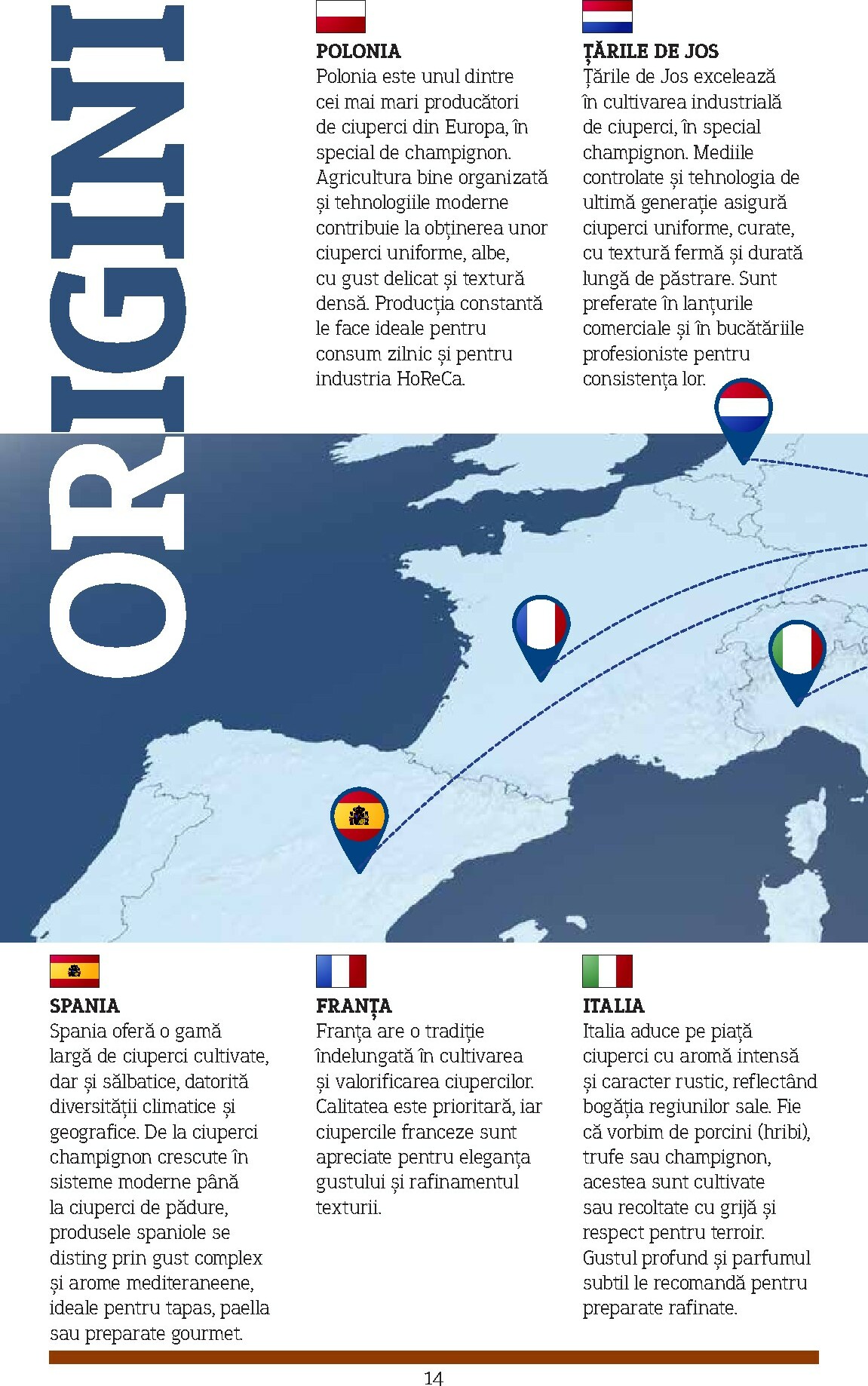 metro - Catalog Metro - Catalog Varietăți de Ciuperci online – oferte valabile din 10.11. - page: 14