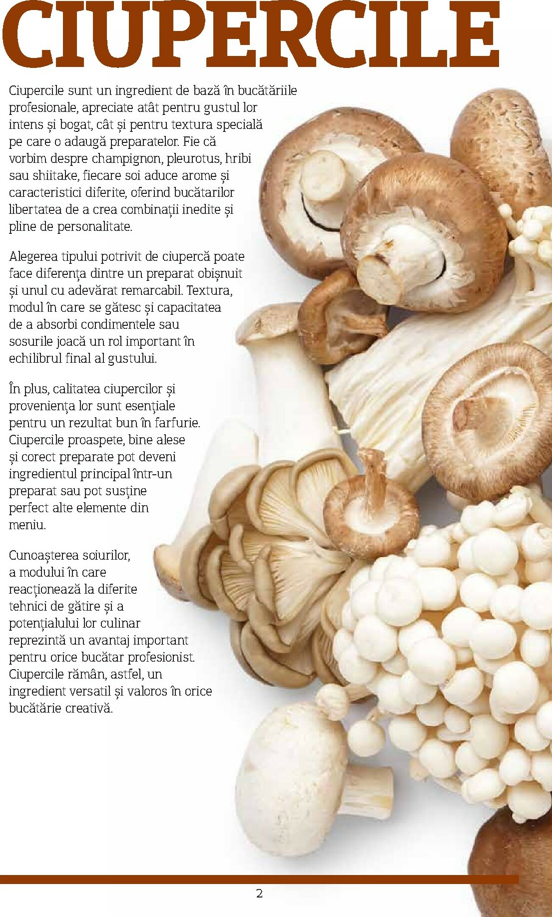 metro - Catalog Metro - Catalog Varietăți de Ciuperci online – oferte valabile din 10.11. - page: 2