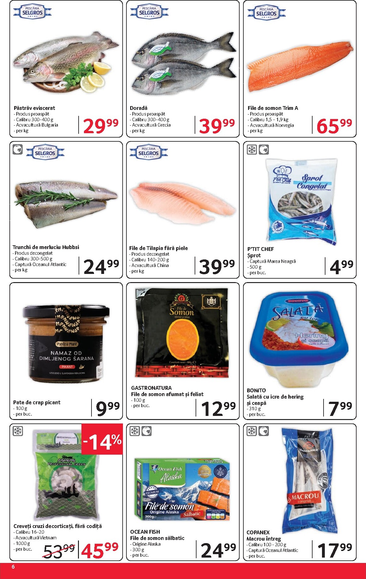 selgros - Selgros - Magazine Mici pliante pentru săptămâna viitoare de la vineri 29.05.2026 până la joi 11.06.2026 - page: 6
