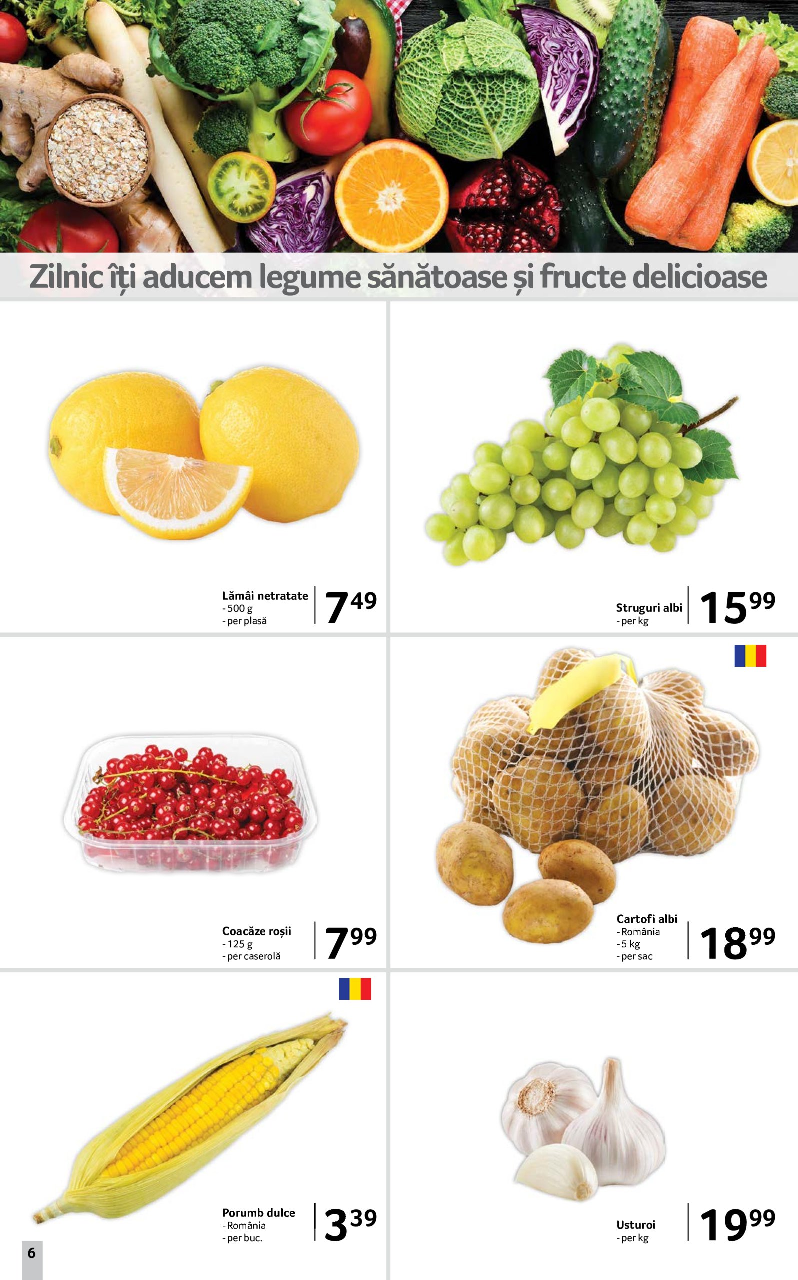 selgros - Catalog Selgros valabil din 27.06. până pe 10.07. - page: 6