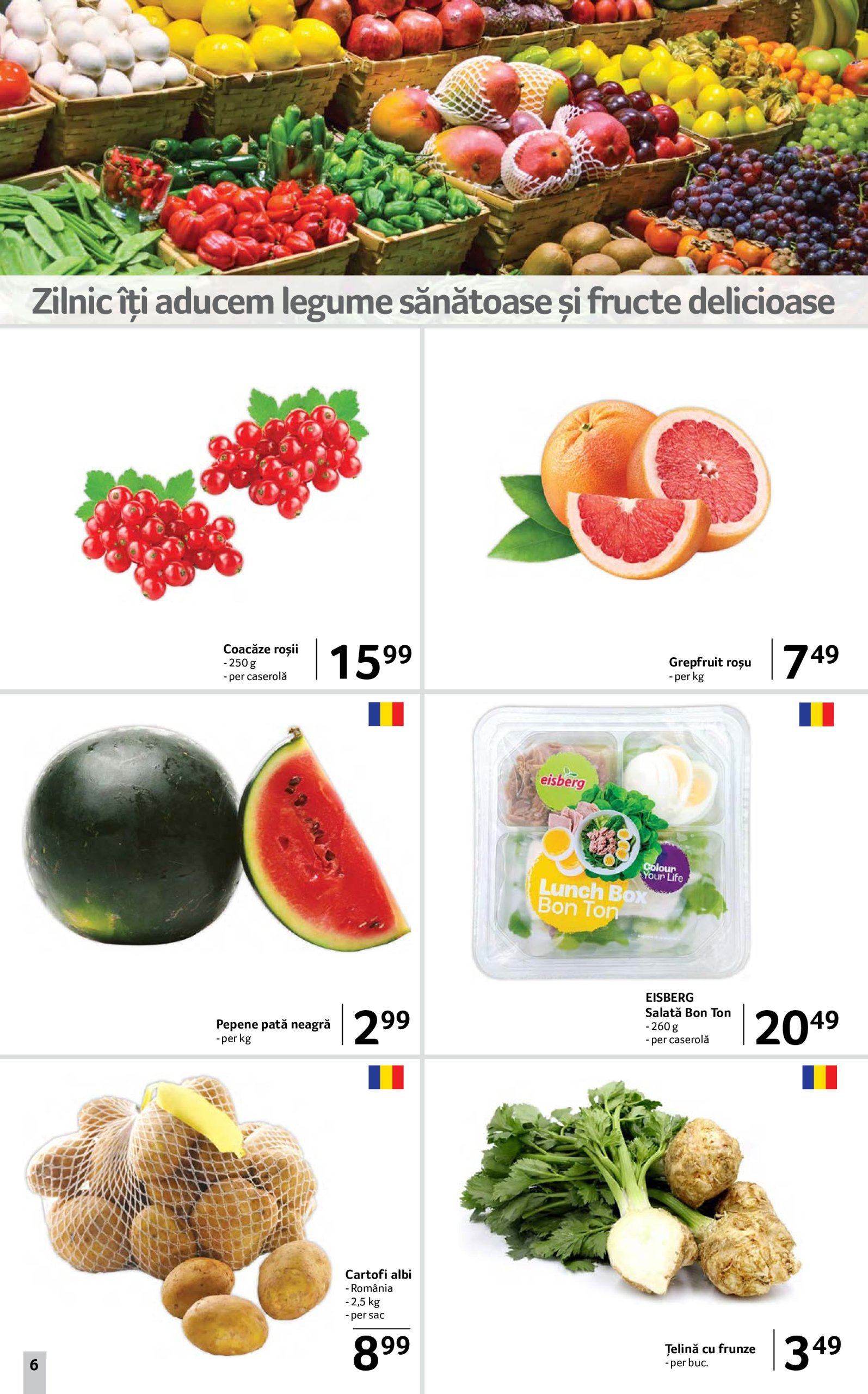 selgros - Catalog Selgros valabil din 11.07. până pe 24.07. - page: 6 selgros - Catalog Selgros valabil din 11.07. până pe 24.07. - page: 6