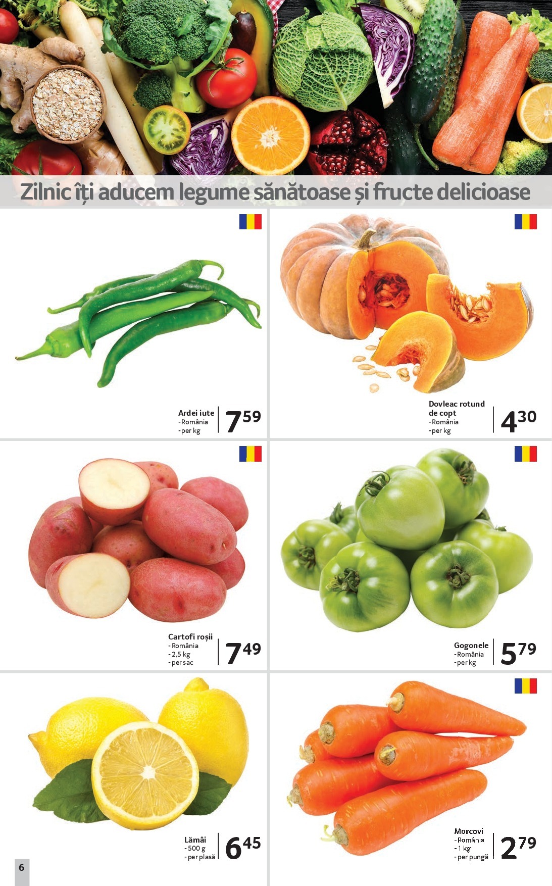 selgros - Catalog Selgros - Sibiu online – oferte valabile din 19.09. - page: 6