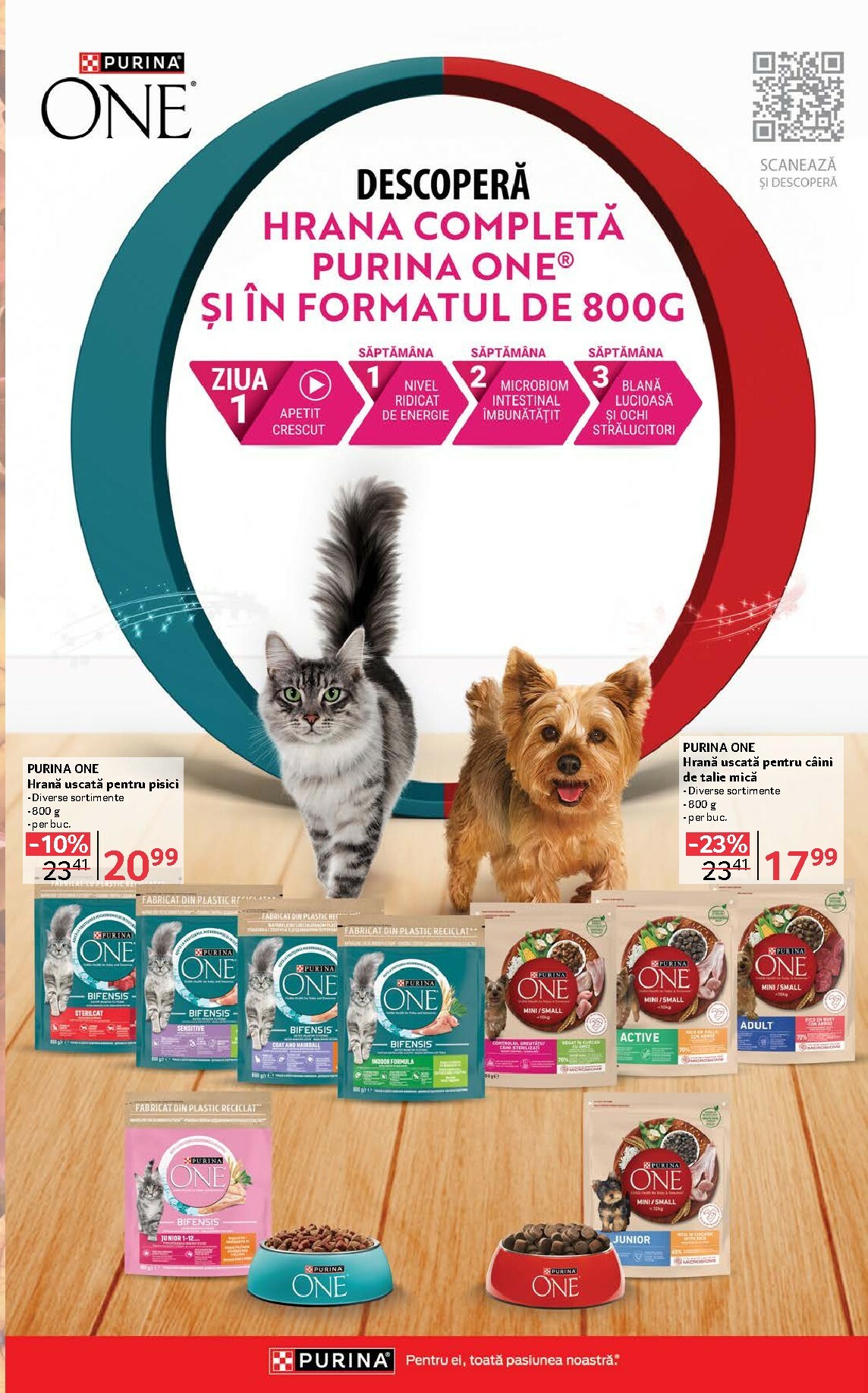 selgros - Catalog Selgros online – oferte valabile din 03.10. - page: 29