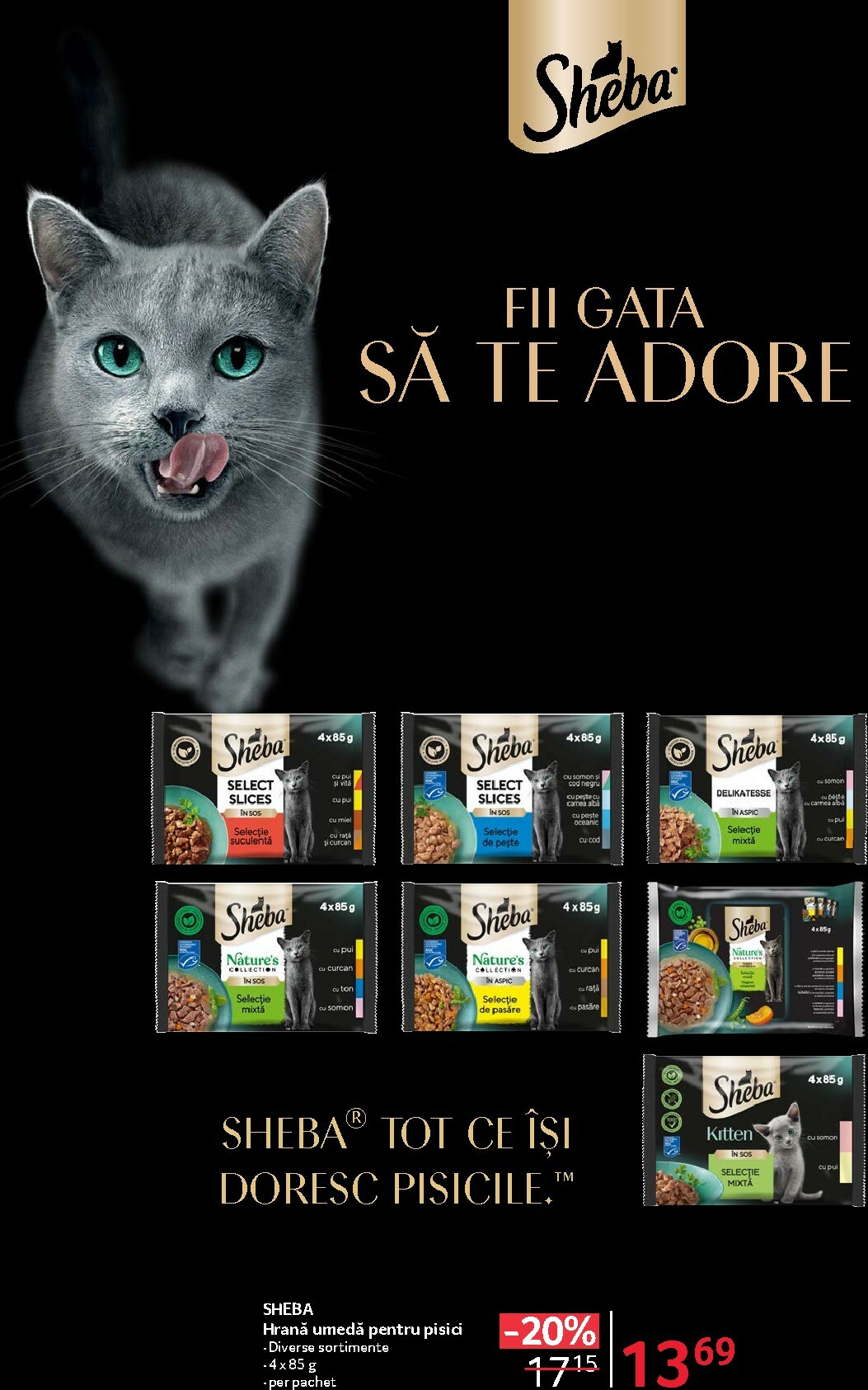 selgros - Catalog Selgros - Food online – oferte valabile din 20.02.2026 - page: 22