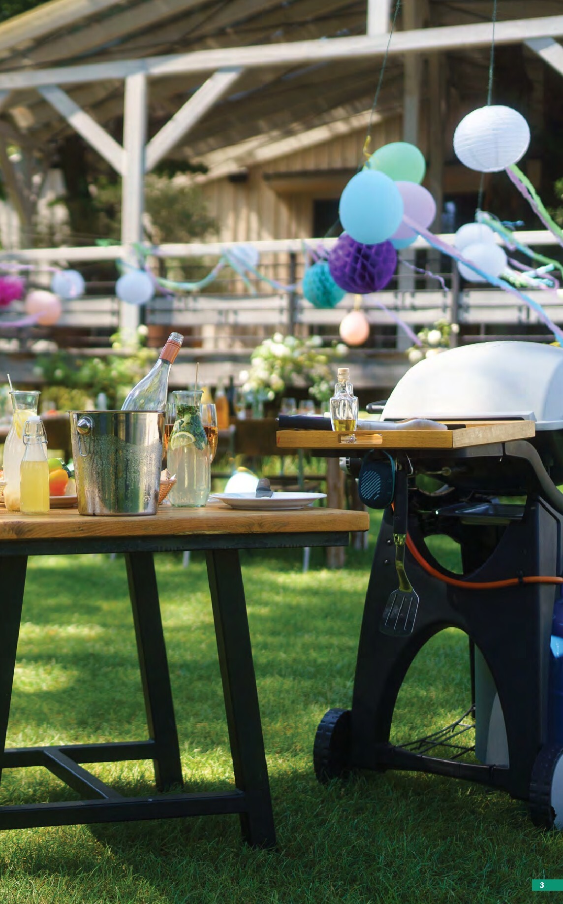 selgros - Brosura Selgros - Oferte de sezon valabilă de la vineri 17.04.2026 până la joi 14.05.2026 - page: 3