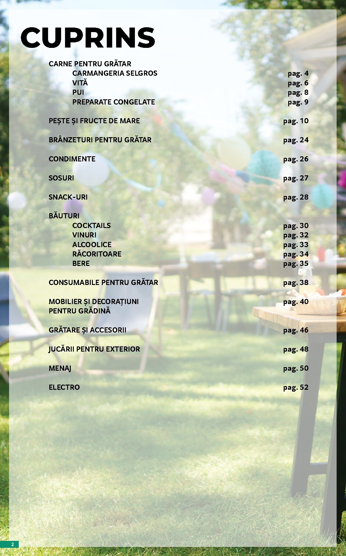 selgros - Brosura Selgros - Oferte de sezon valabilă de la vineri 17.04.2026 până la joi 14.05.2026 - page: 2