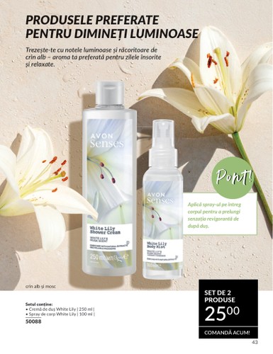 avon - Catalog Avon - Minibrosura valabil din 01.07. până pe 31.07. - page: 43