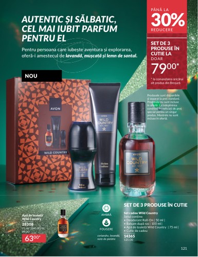avon - Catalog Avon online – oferte valabile din 01.12. - page: 121
