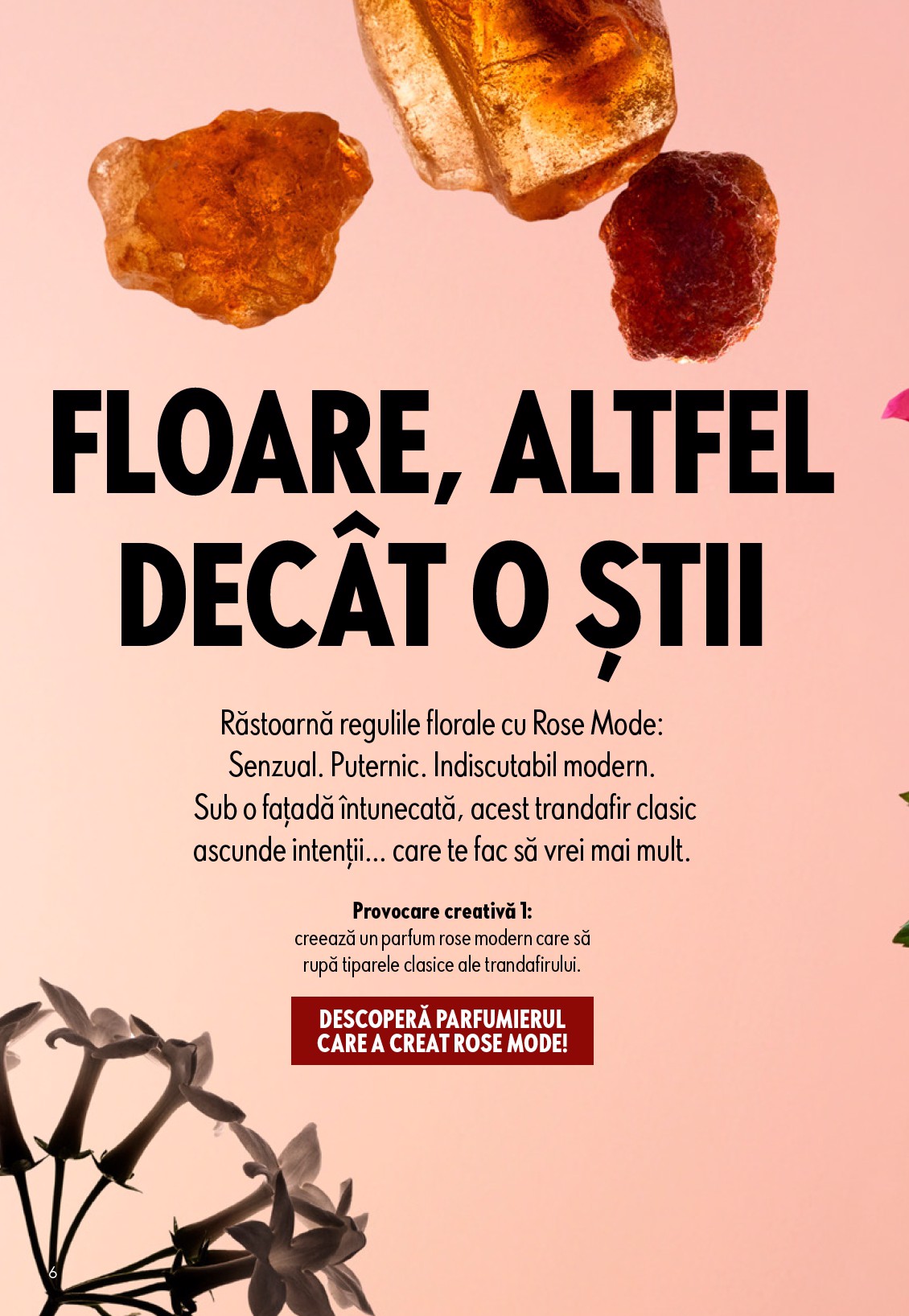 oriflame - Brosura Oriflame valabilă de la miercuri 15.04.2026 până la marți 05.05.2026 - page: 6