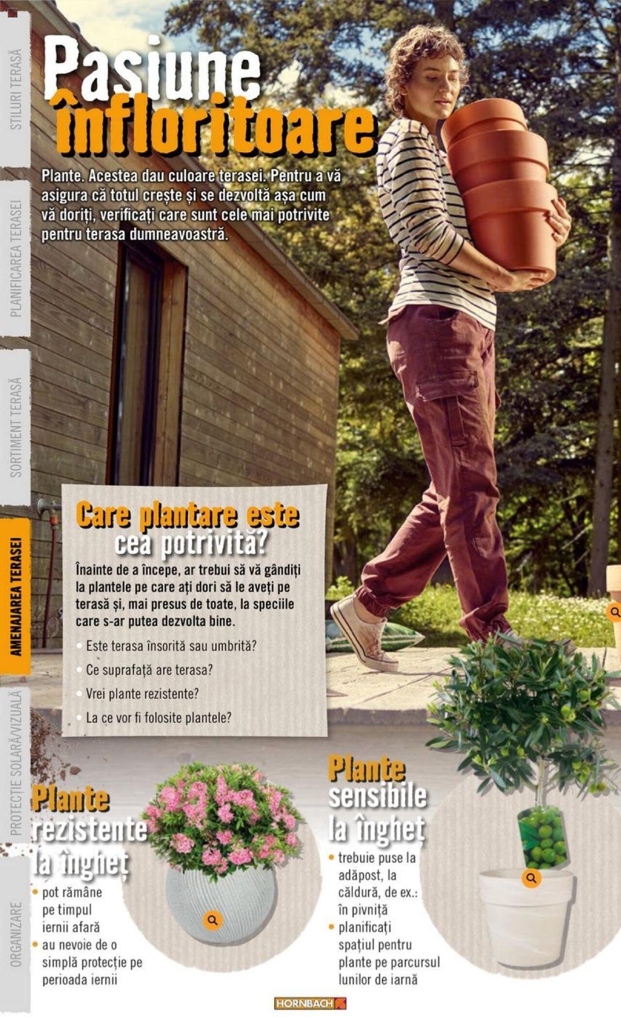 hornbach - Hornbach catalog - Terasă de joi 20.06.2024 - page: 36