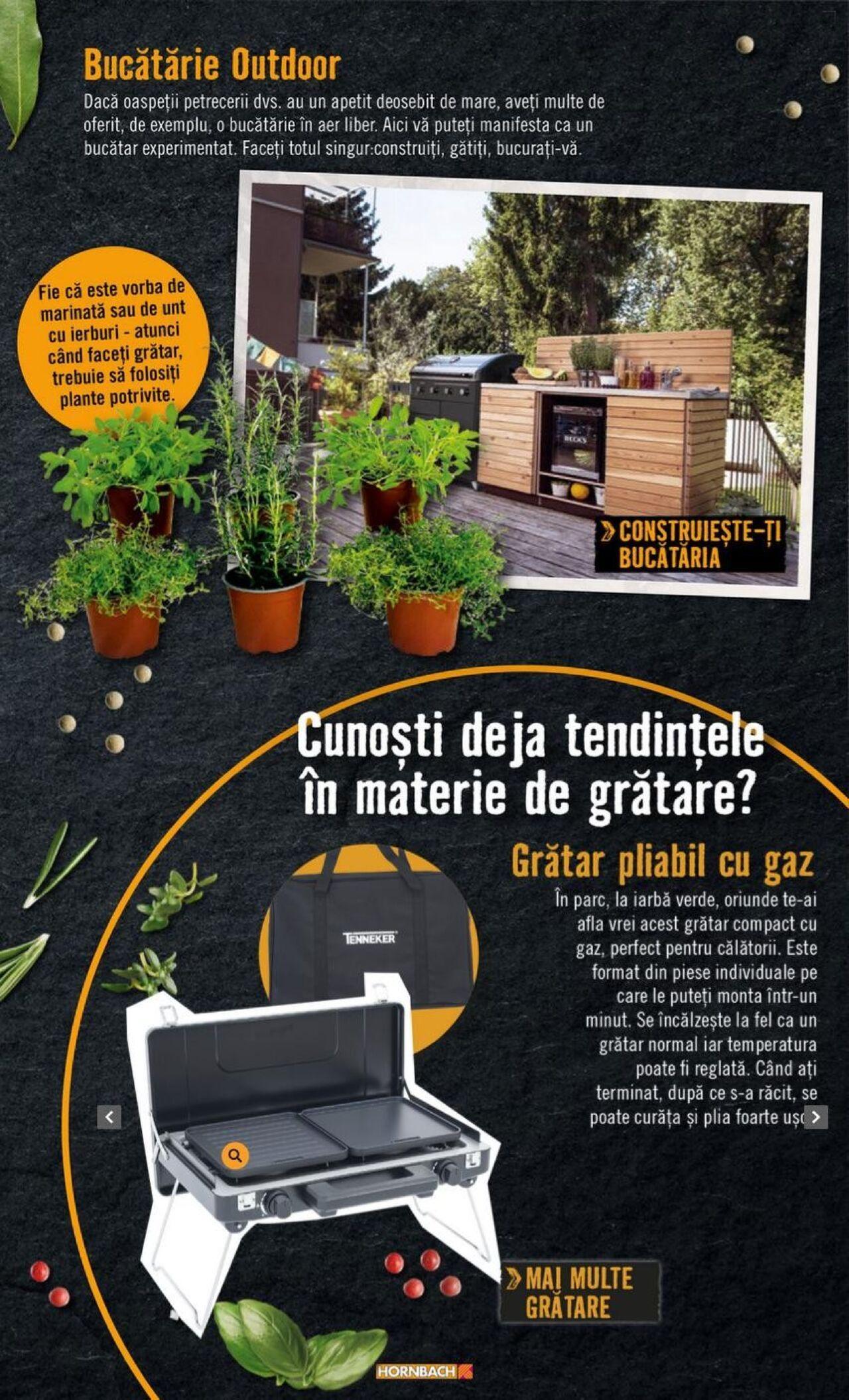 hornbach - Hornbach catalog - Terasă de joi 20.06.2024 - page: 39