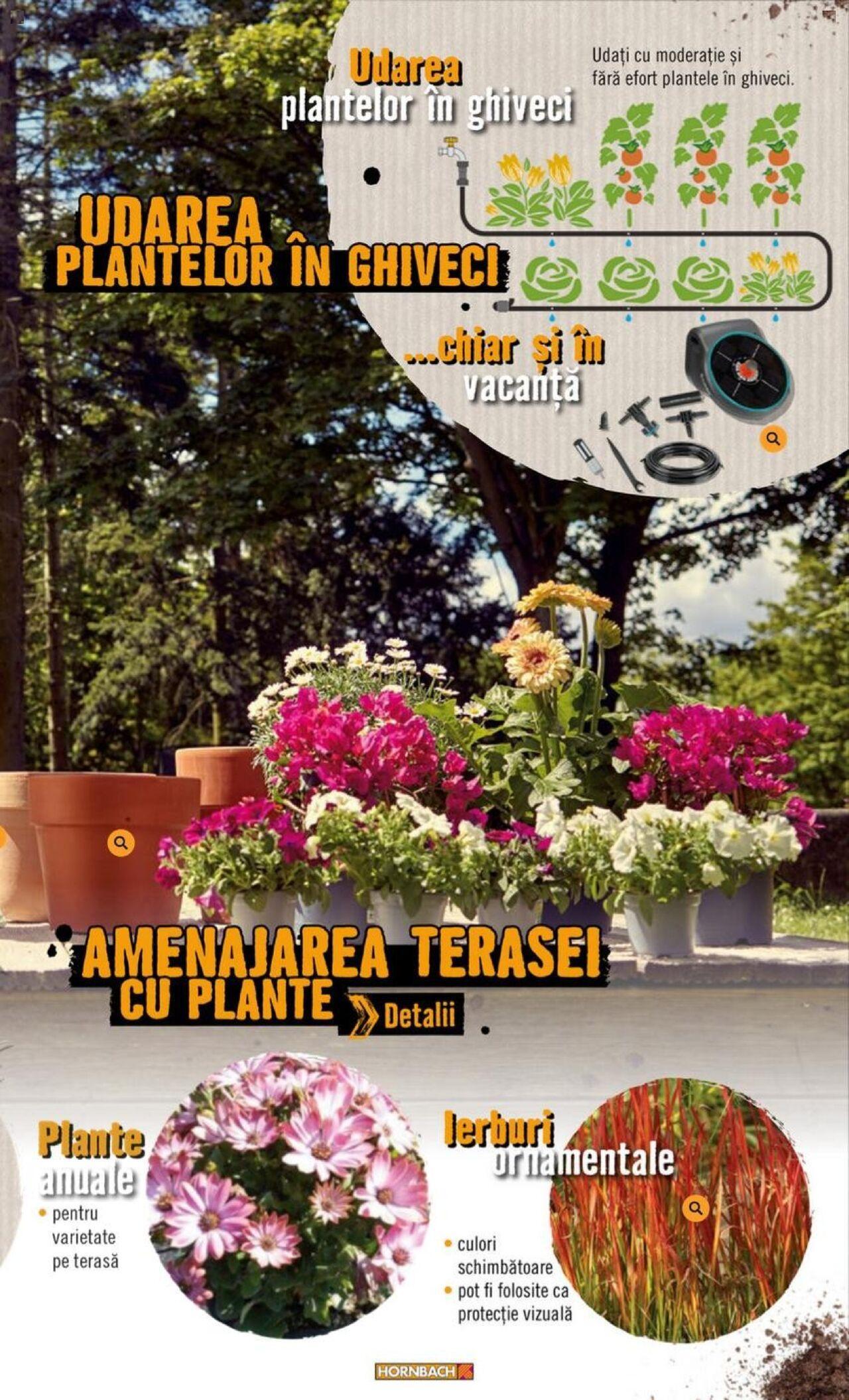 hornbach - Hornbach catalog - Terasă de joi 20.06.2024 - page: 37