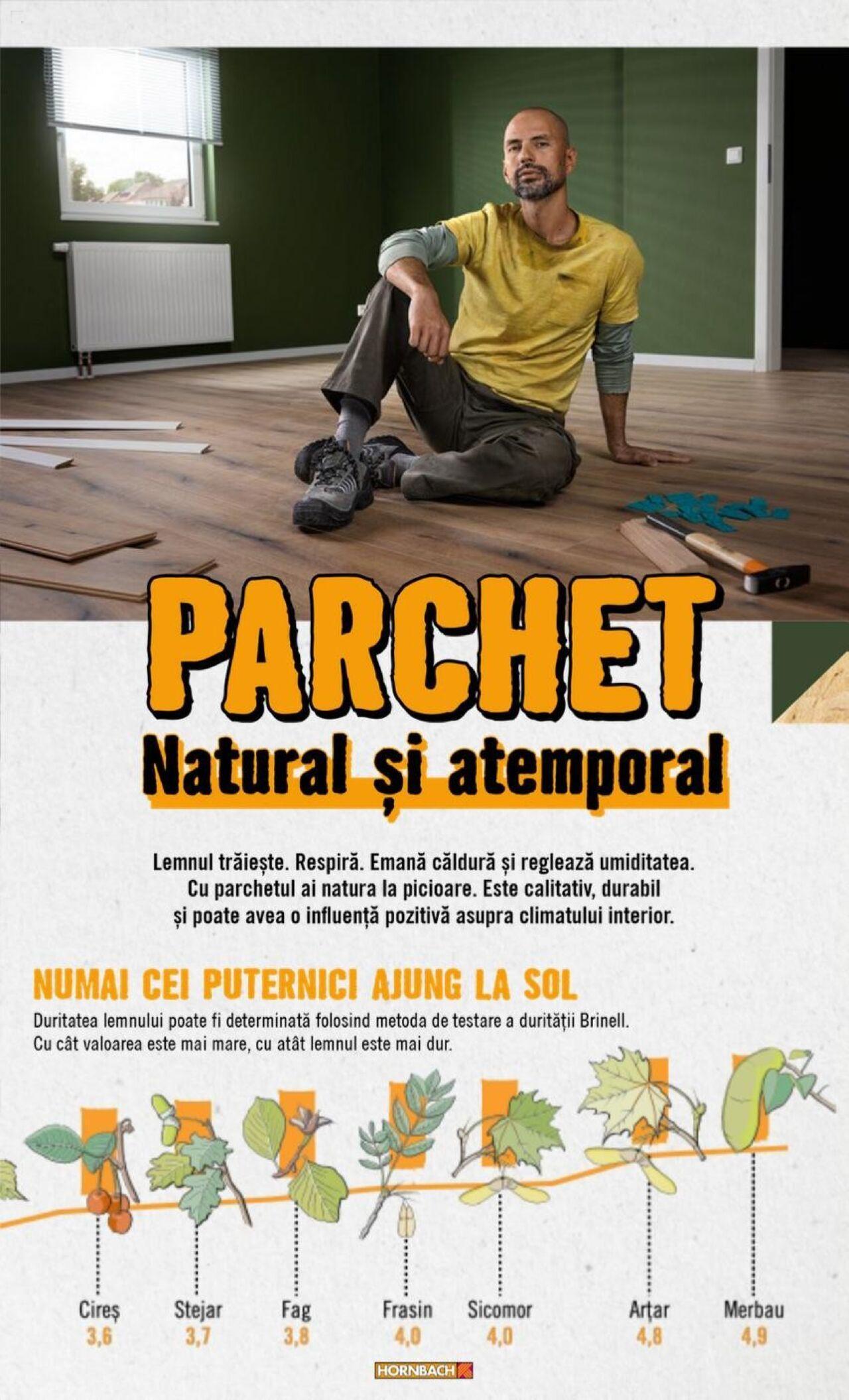 hornbach - Hornbach catalog - Pardoseală de marți 15.10.2024 - page: 18