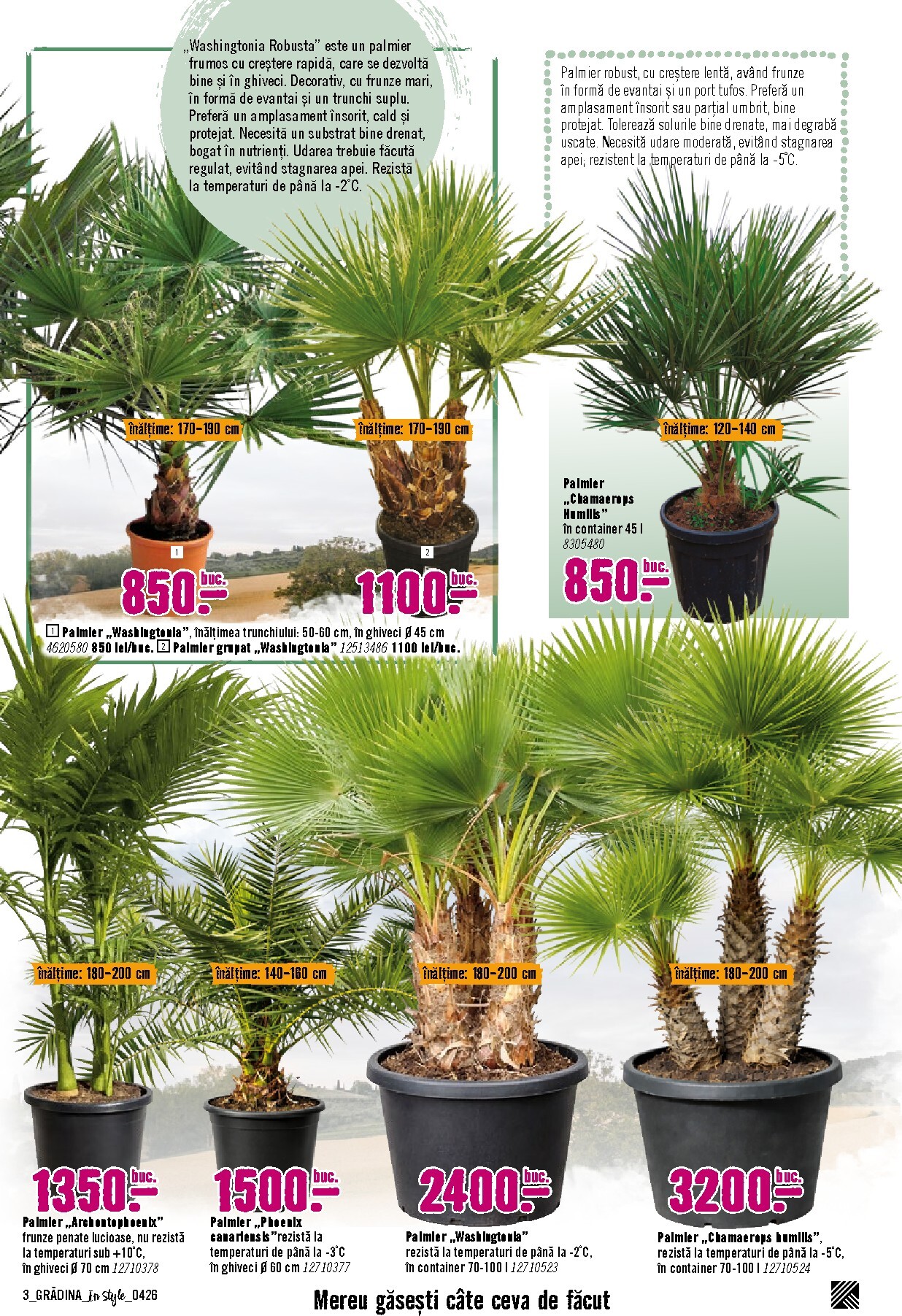 hornbach - Brosura Hornbach - Gradina valabilă de la luni 06.04.2026 până la duminică 31.05.2026 - page: 3