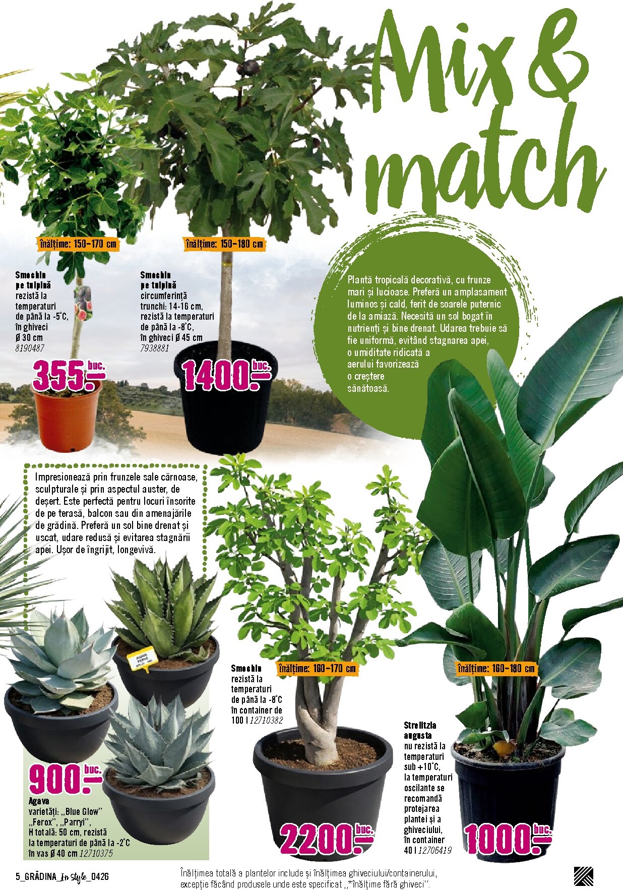 hornbach - Brosura Hornbach - Gradina valabilă de la luni 06.04.2026 până la duminică 31.05.2026 - page: 5