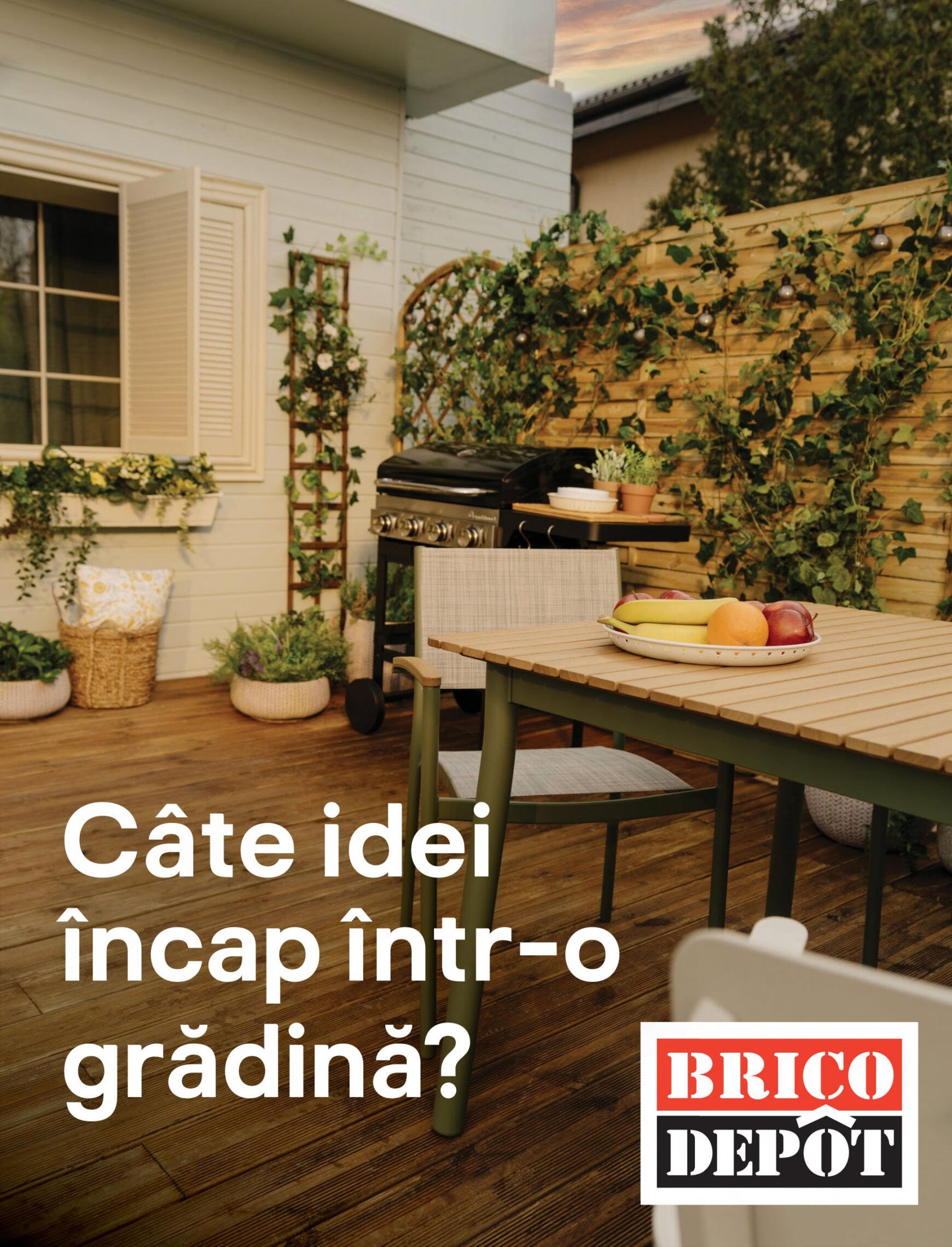 brico-depot - Brico Depot