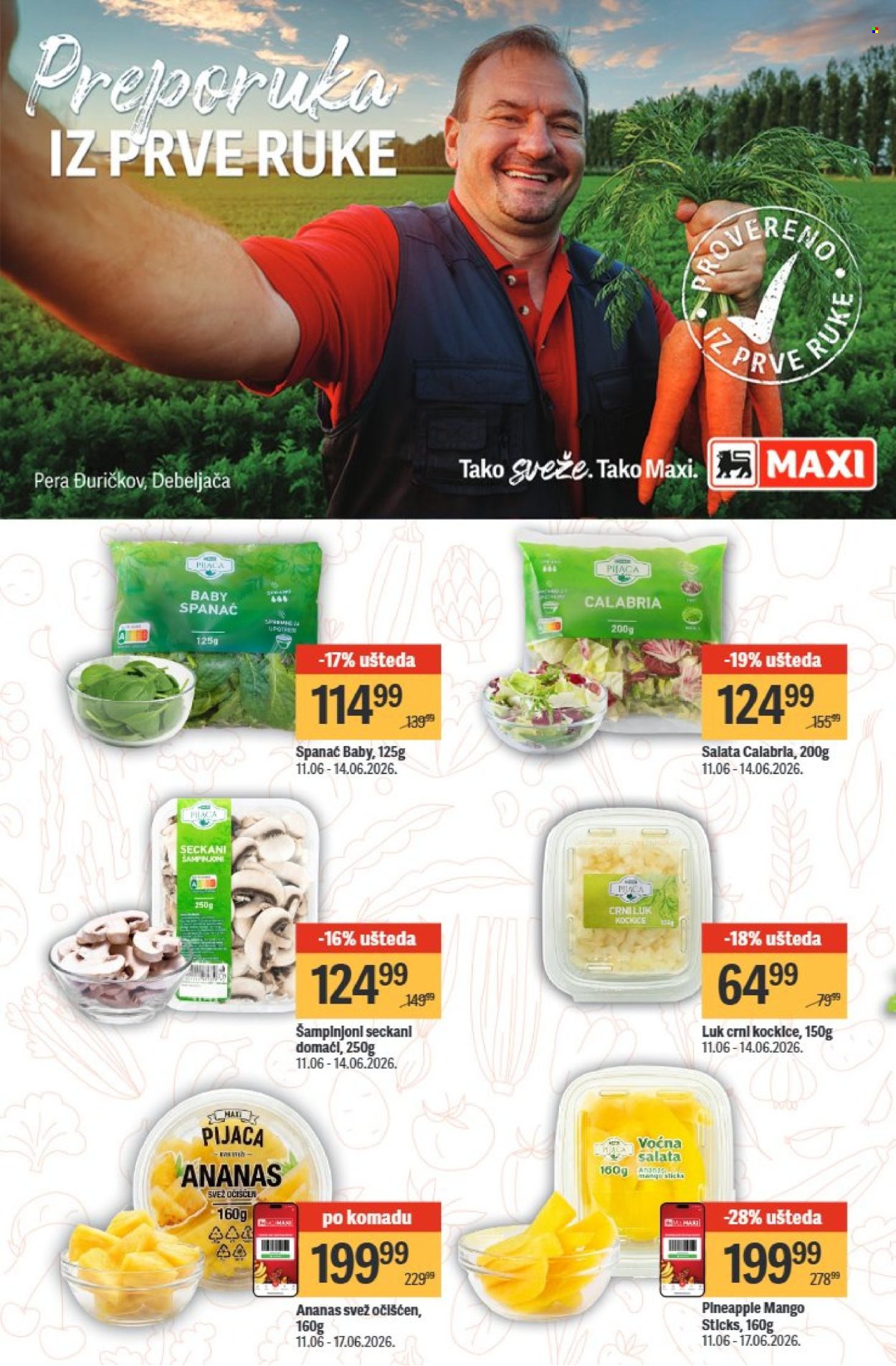 maxi - Maxi katalog - 11.06.-17.06.2026 - page: 10