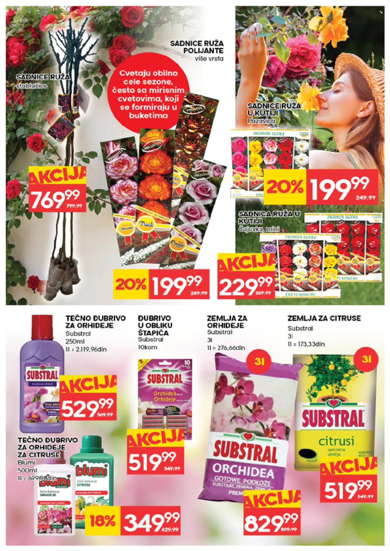 mercator-centar - Mercator Centar katalog - 12.03.-18.03.2026 - page: 31