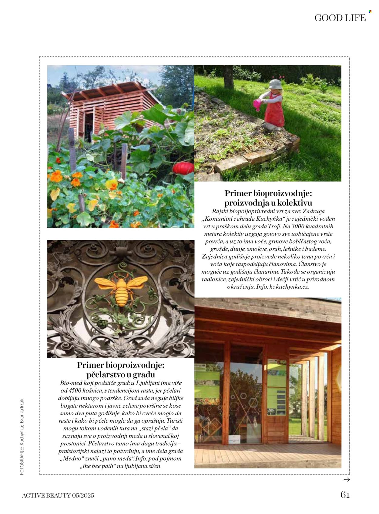 dm-drogerie - dm drogerie katalog februar 2026 - page: 61