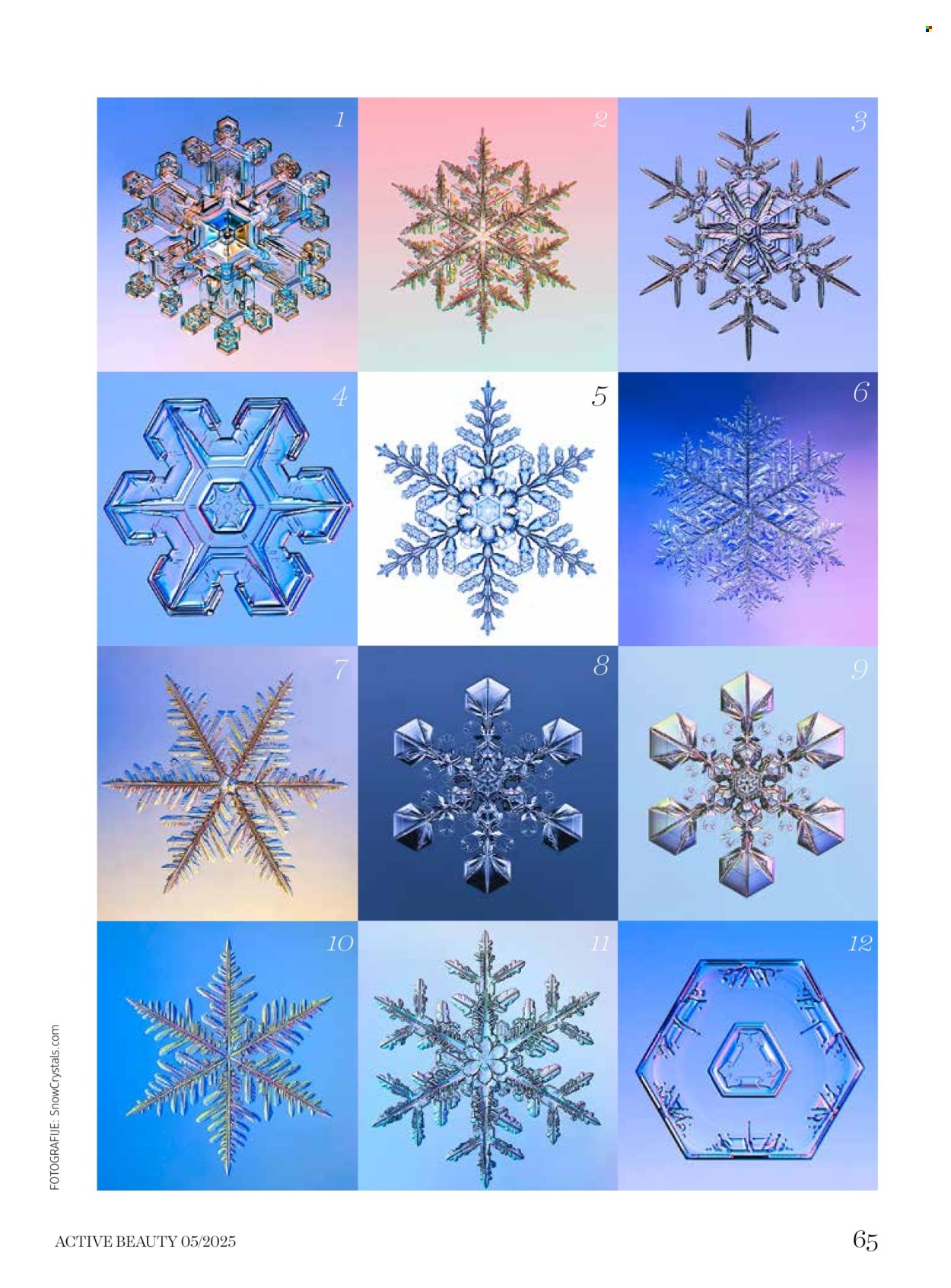 dm-drogerie - dm drogerie katalog februar 2026 - page: 65