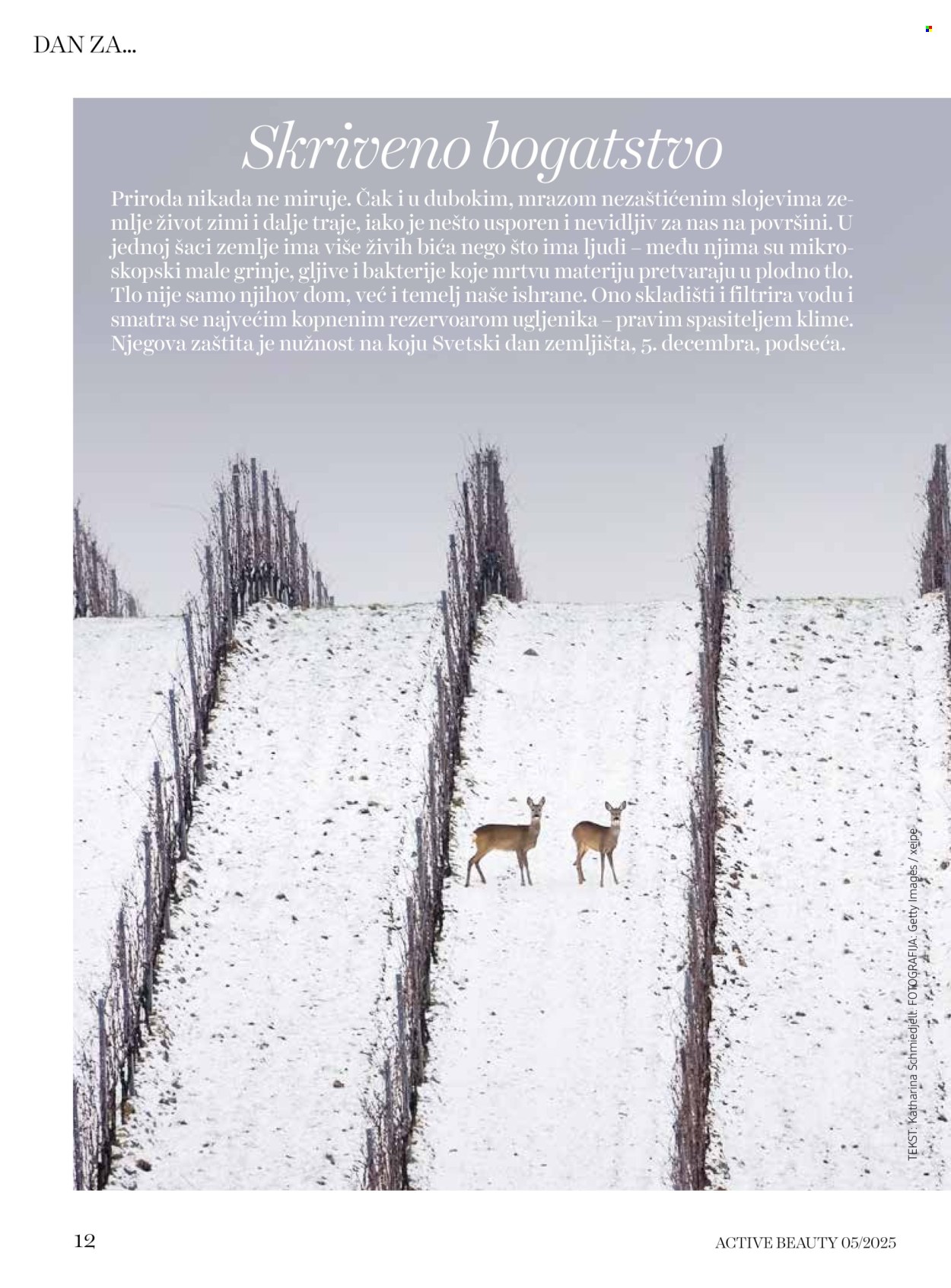 dm-drogerie - dm drogerie katalog februar 2026 - page: 12