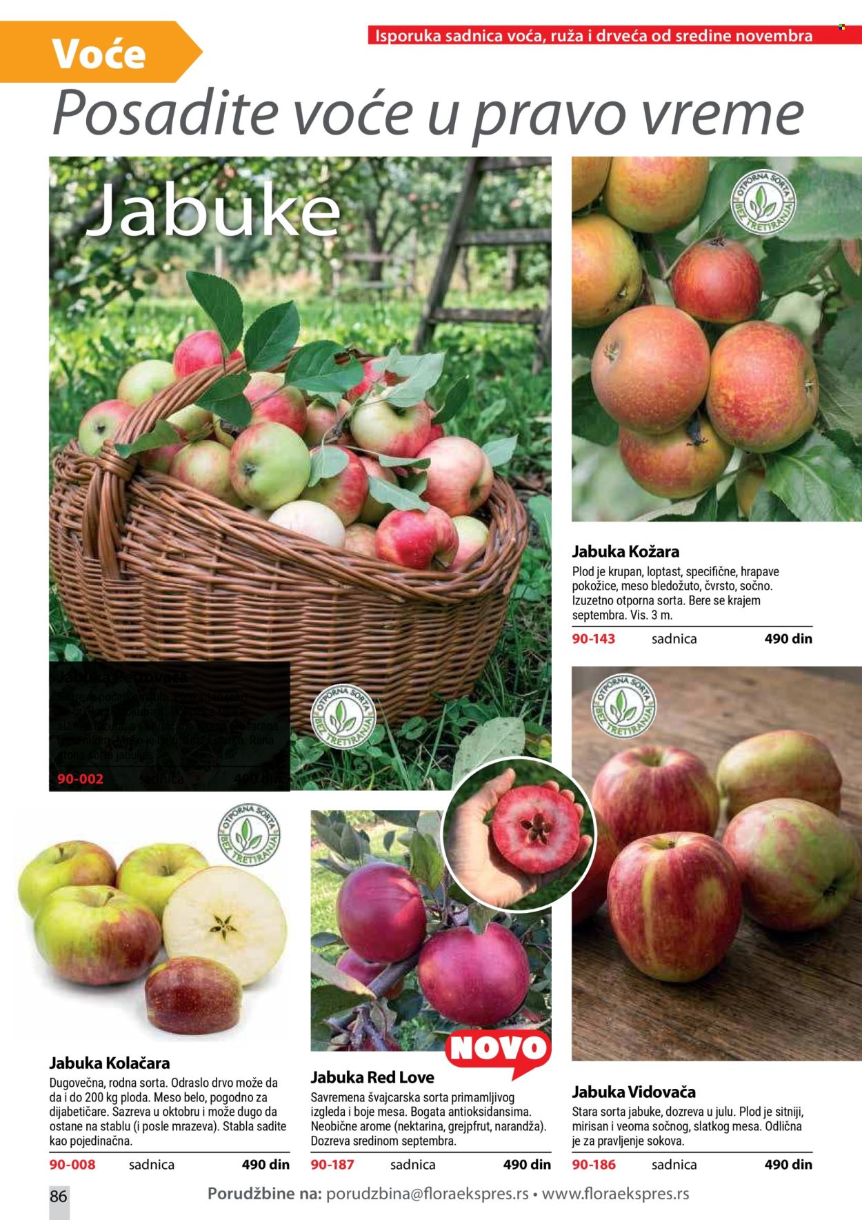 flora-ekspres - Flora Ekspres katalog oktobar 2026 - page: 86