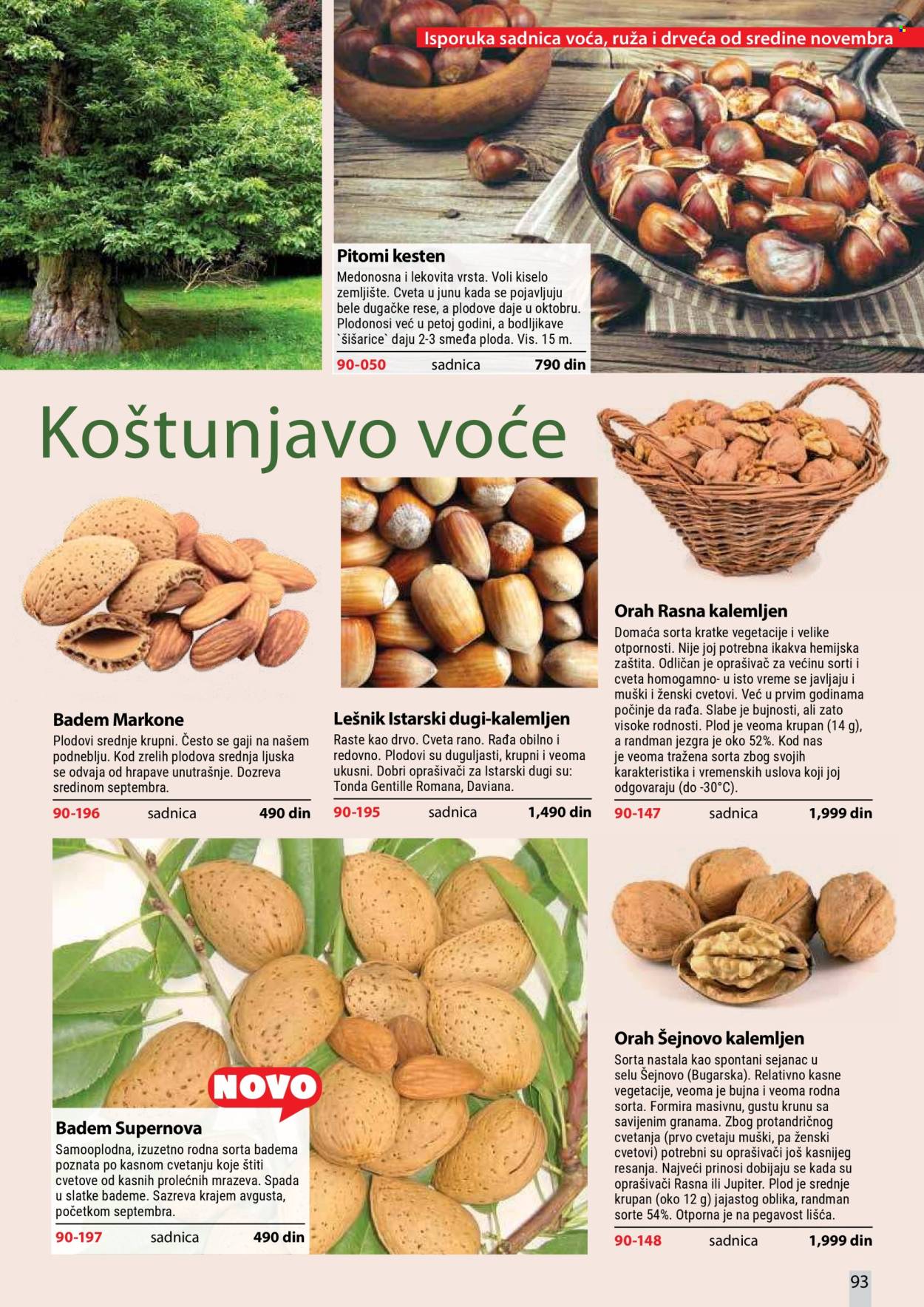 flora-ekspres - Flora Ekspres katalog oktobar 2026 - page: 93