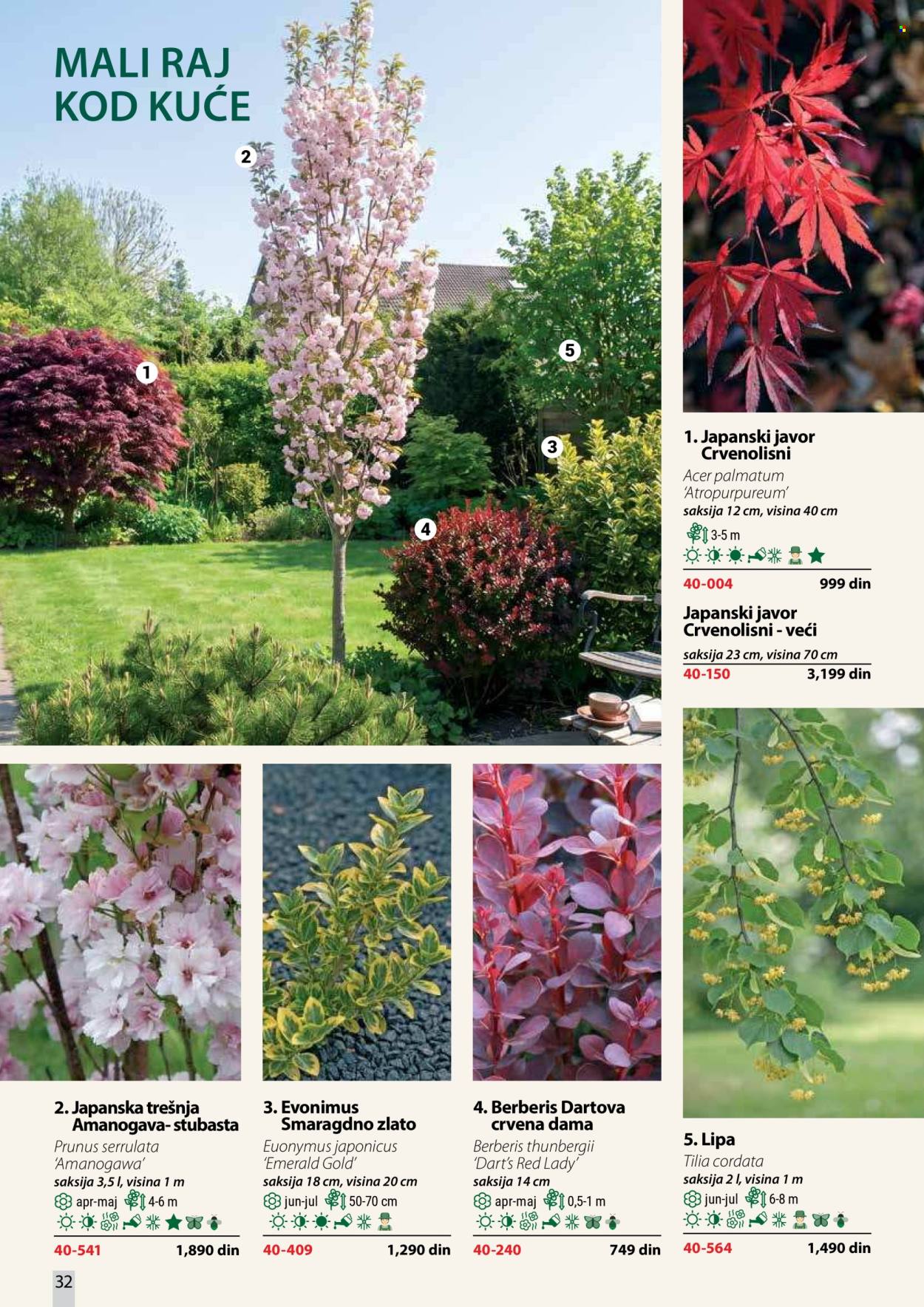 flora-ekspres - Flora Ekspres katalog oktobar 2026 - page: 32