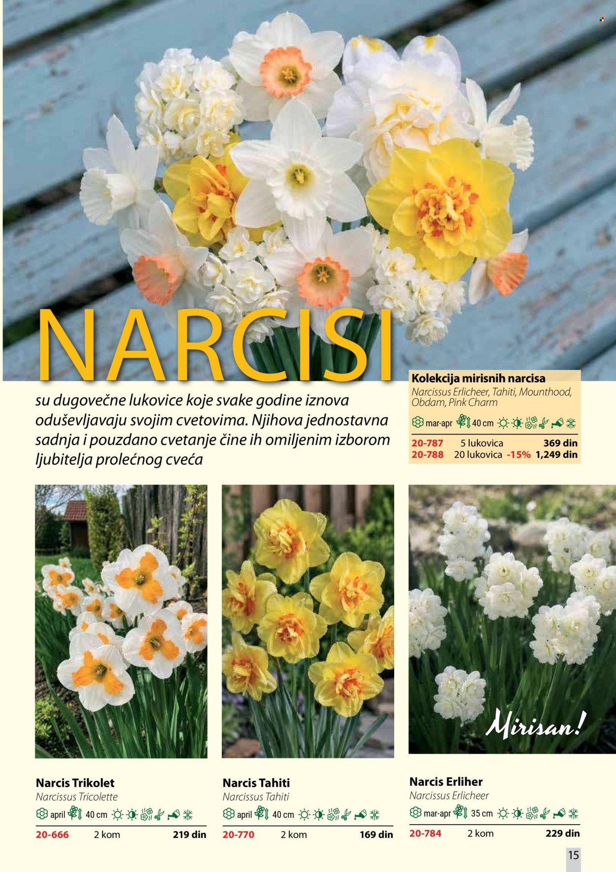 flora-ekspres - Flora Ekspres katalog oktobar 2026 - page: 15