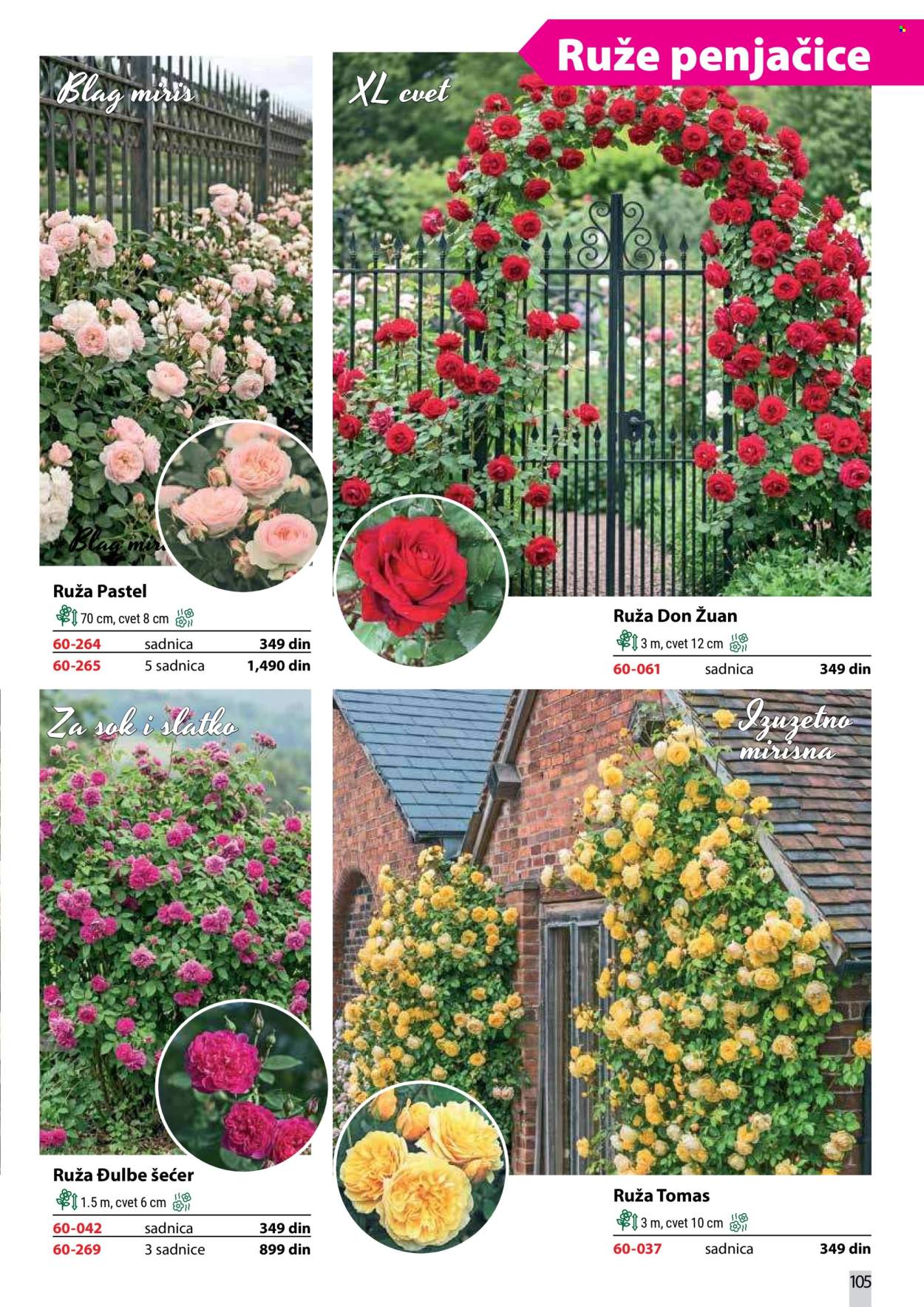 flora-ekspres - Flora Ekspres katalog oktobar 2026 - page: 105