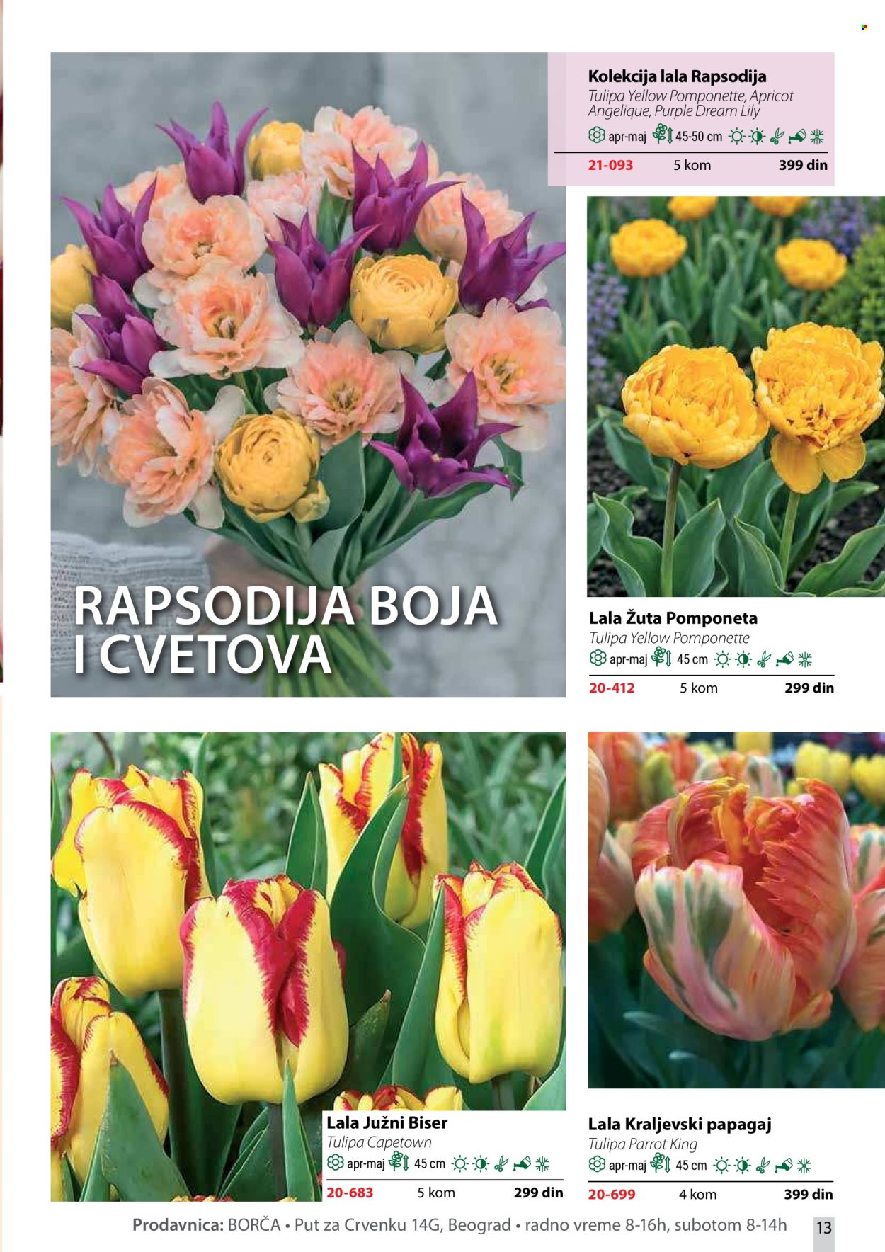 flora-ekspres - Flora Ekspres katalog oktobar 2026 - page: 13
