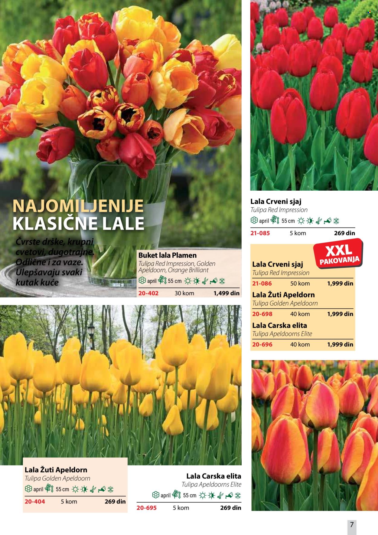 flora-ekspres - Flora Ekspres katalog oktobar 2026 - page: 7