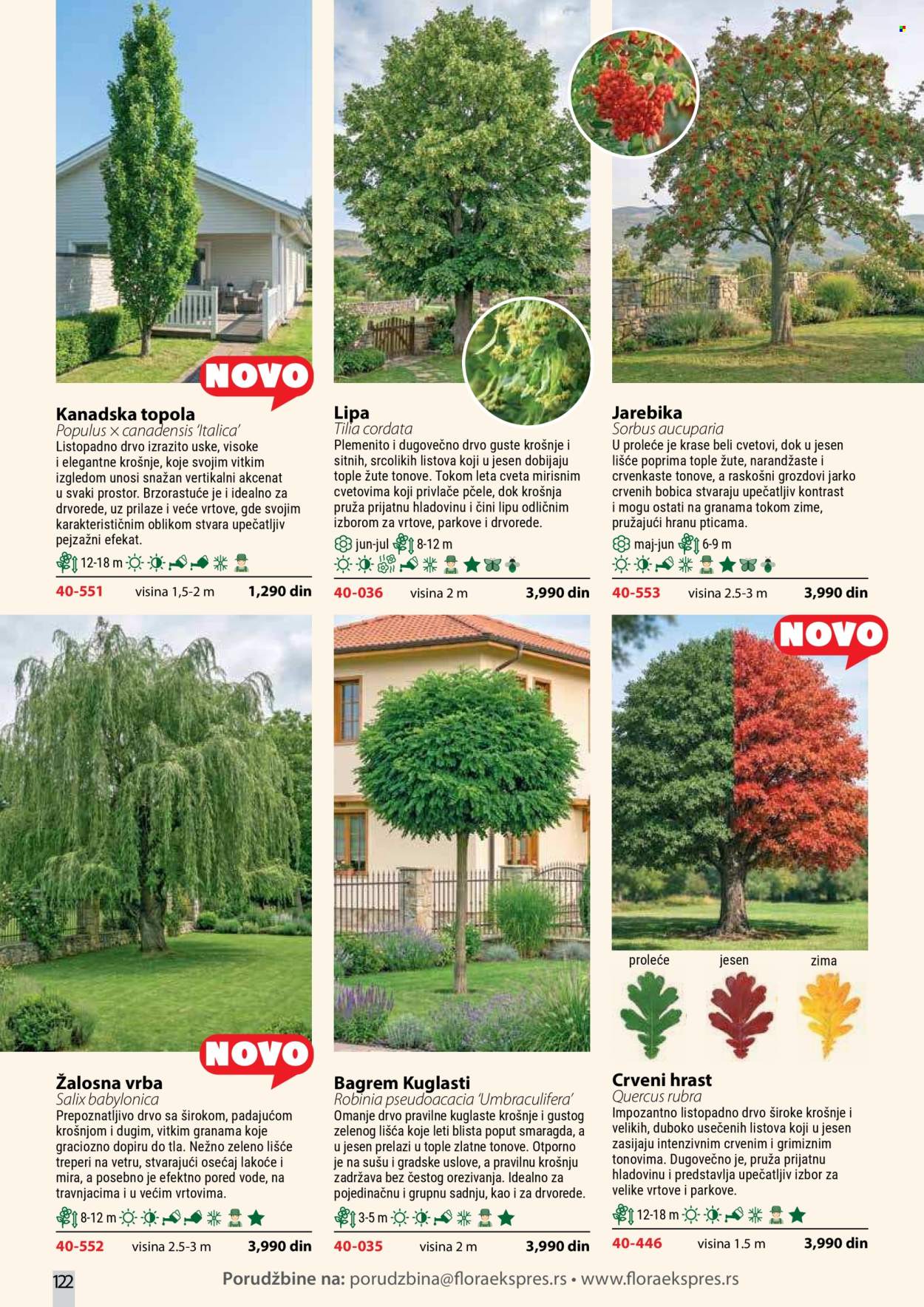 flora-ekspres - Flora Ekspres katalog oktobar 2026 - page: 122