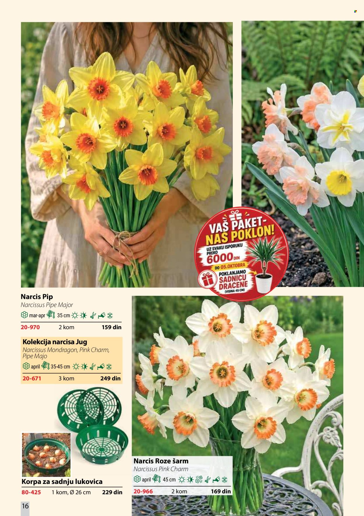 flora-ekspres - Flora Ekspres katalog oktobar 2026 - page: 16